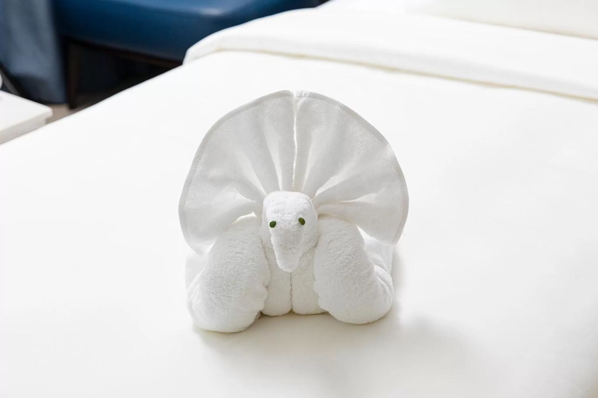 Other in Erica Nha Trang Hotel