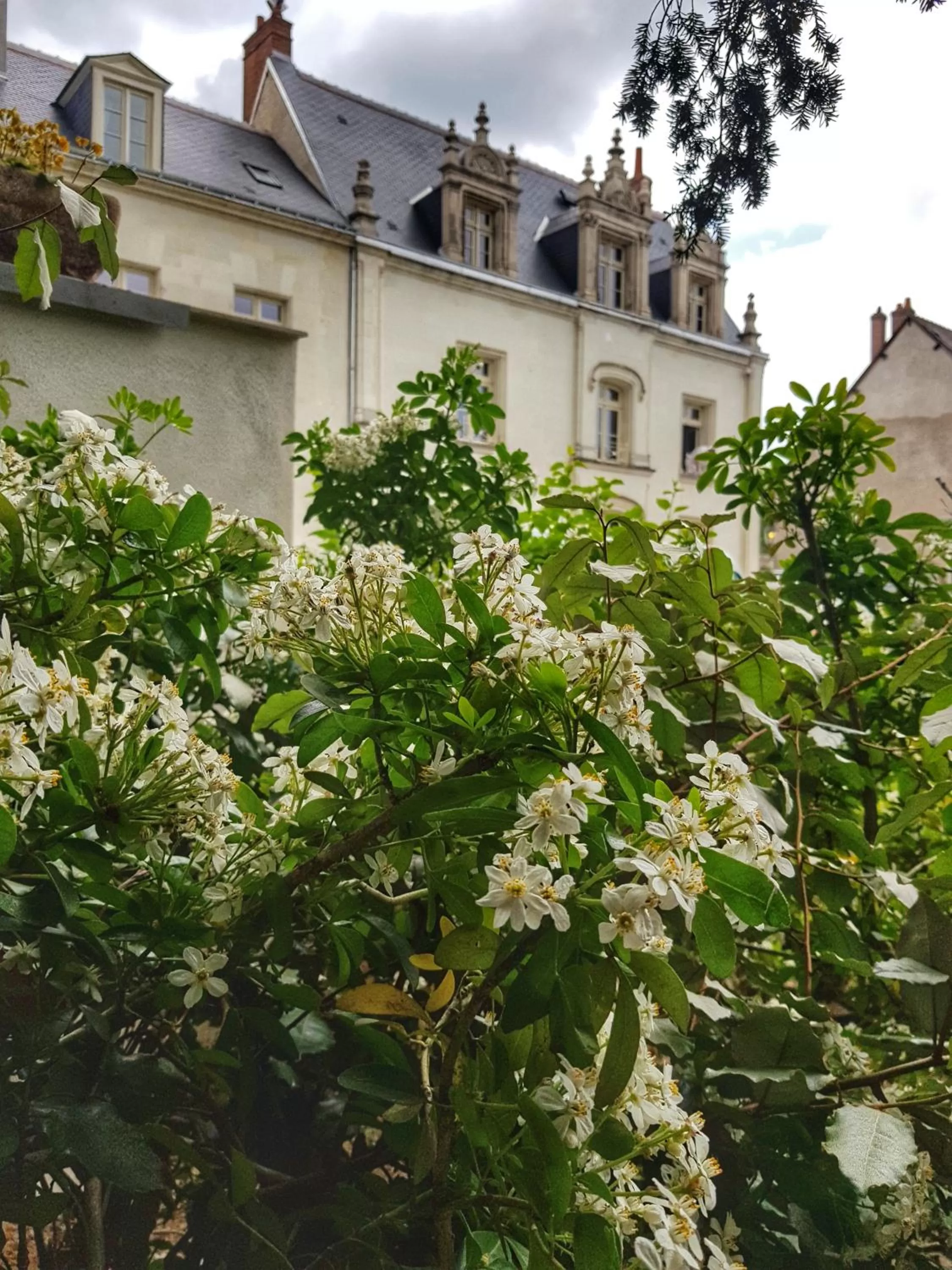 Garden in Le Clos d'Amboise