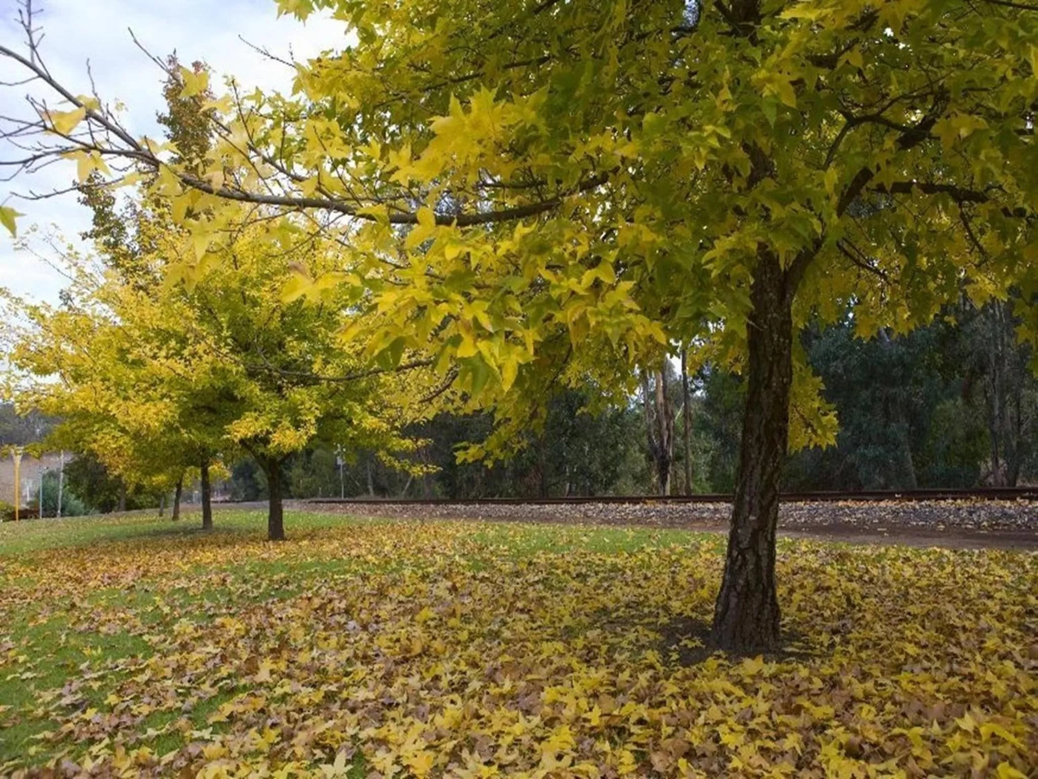Area and facilities in Nelsons of Bridgetown