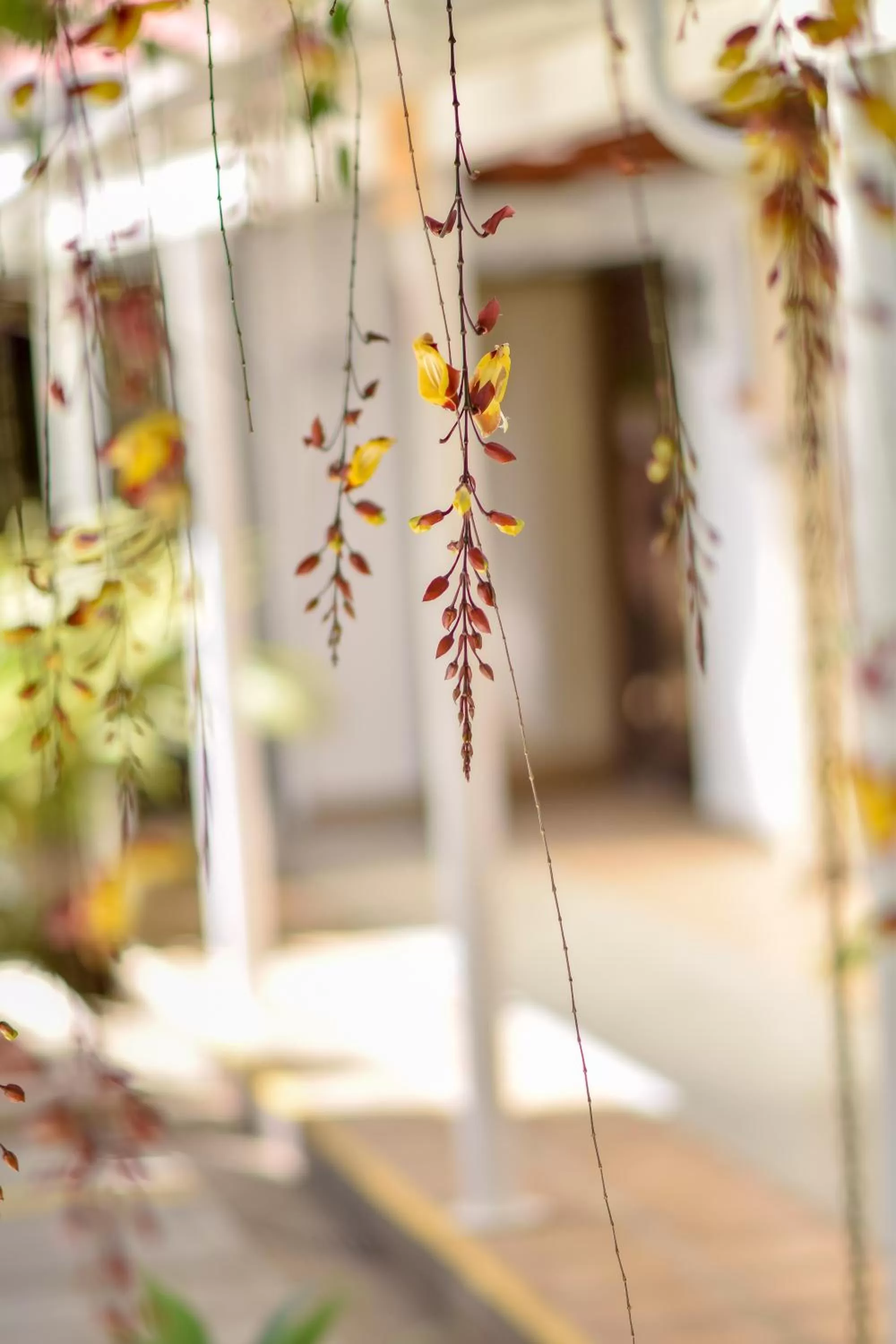 Facade/entrance in La Riviera Hotel