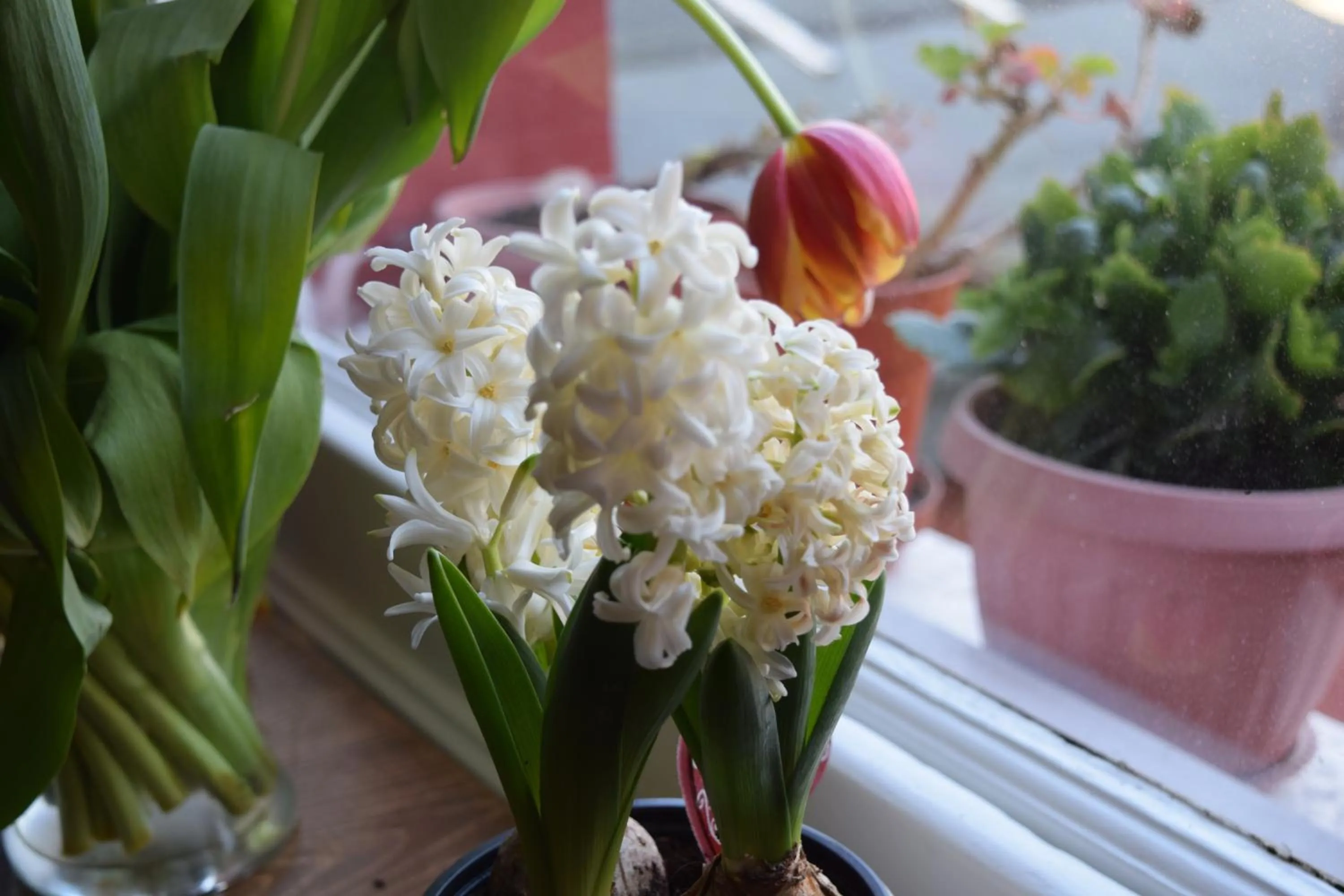 Other in Charlie Hotel