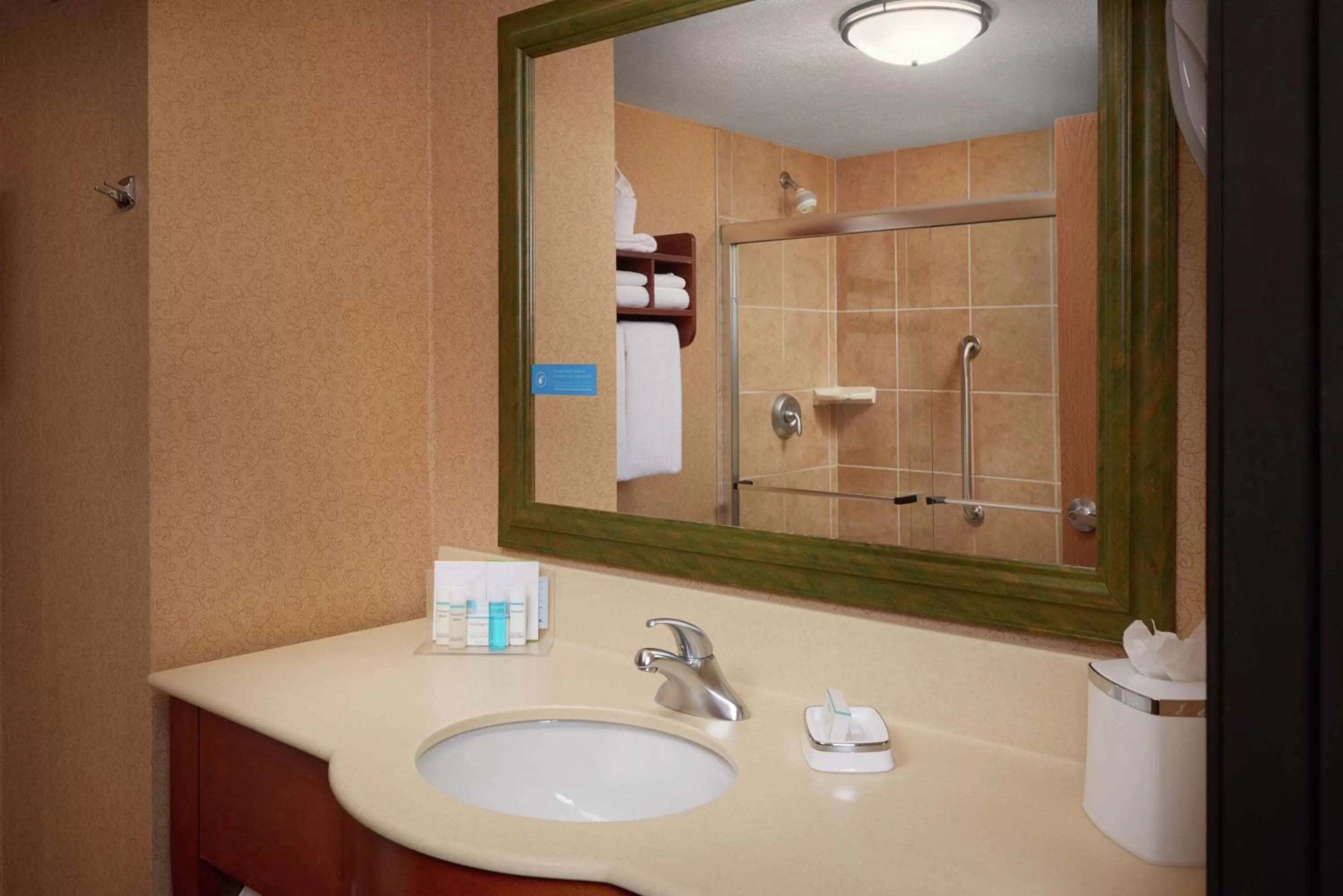 Bathroom in Hampton Inn by Hilton Youngstown-West I-80