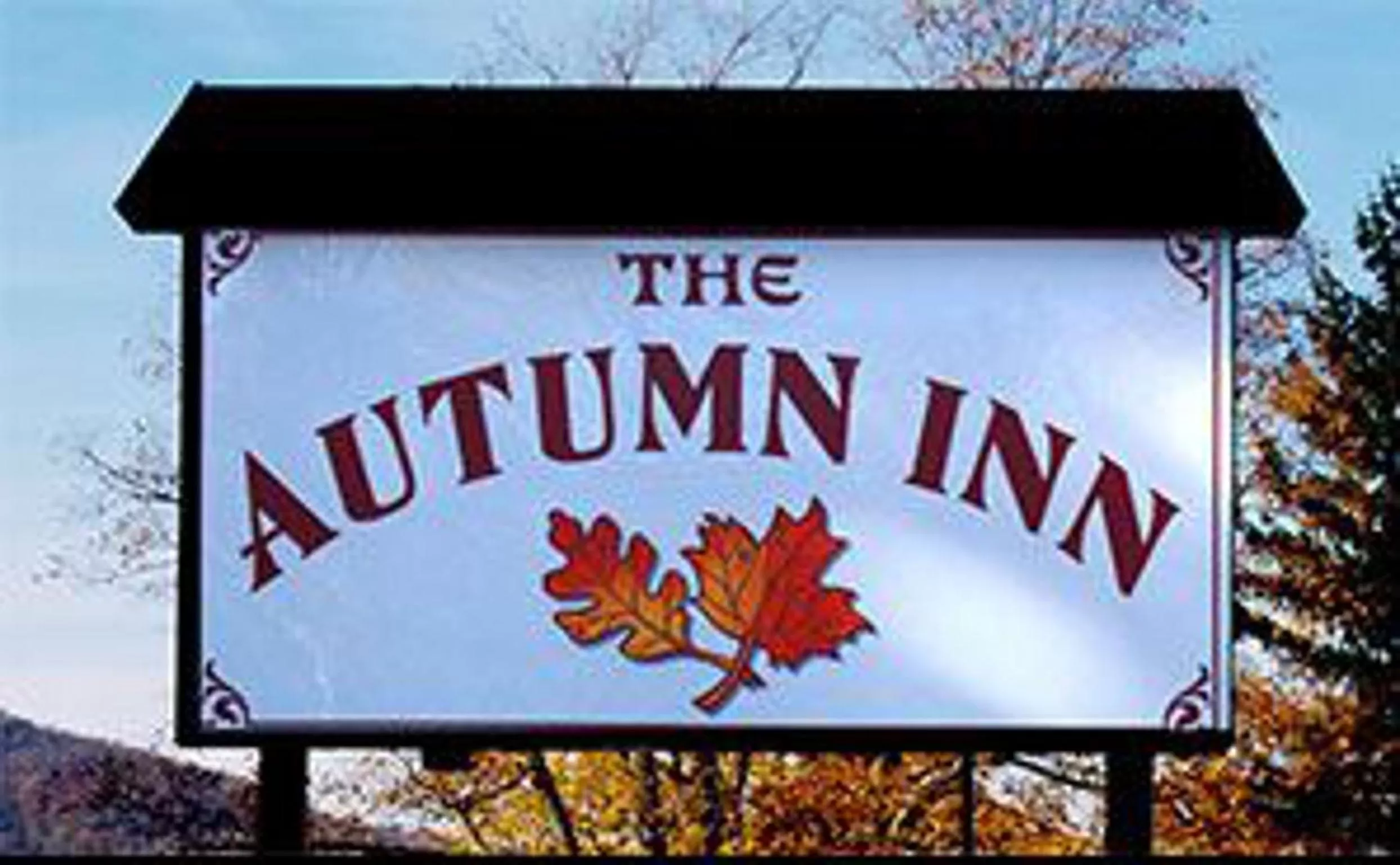 Day in The Autumn Inn