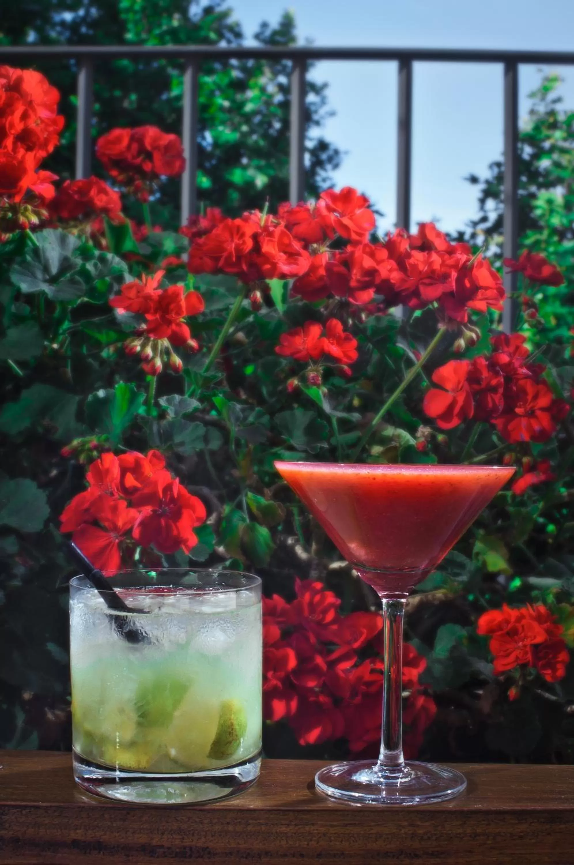 Garden in Nuss Buenos Aires Soho