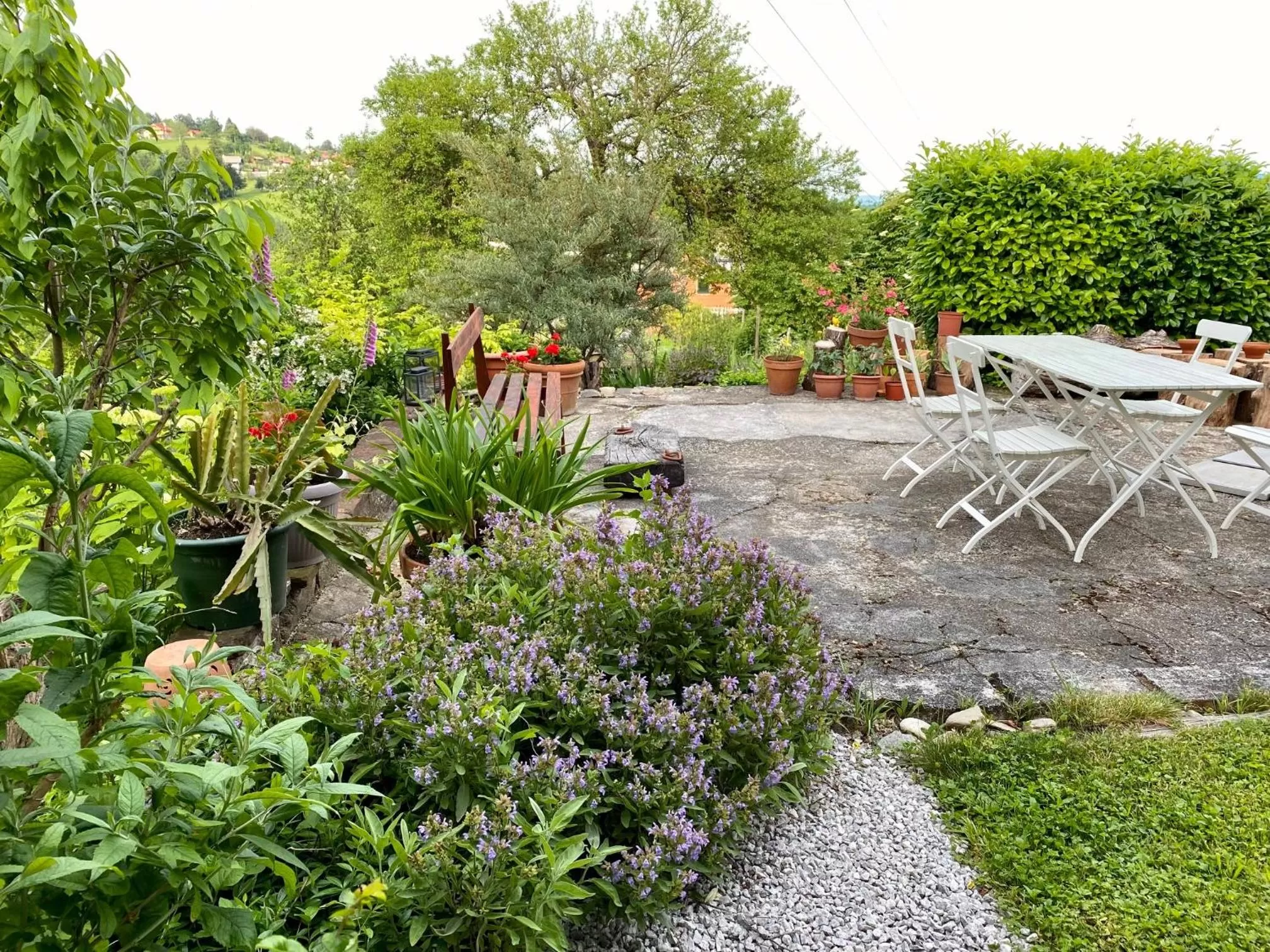 Garden in Mala Kmetija