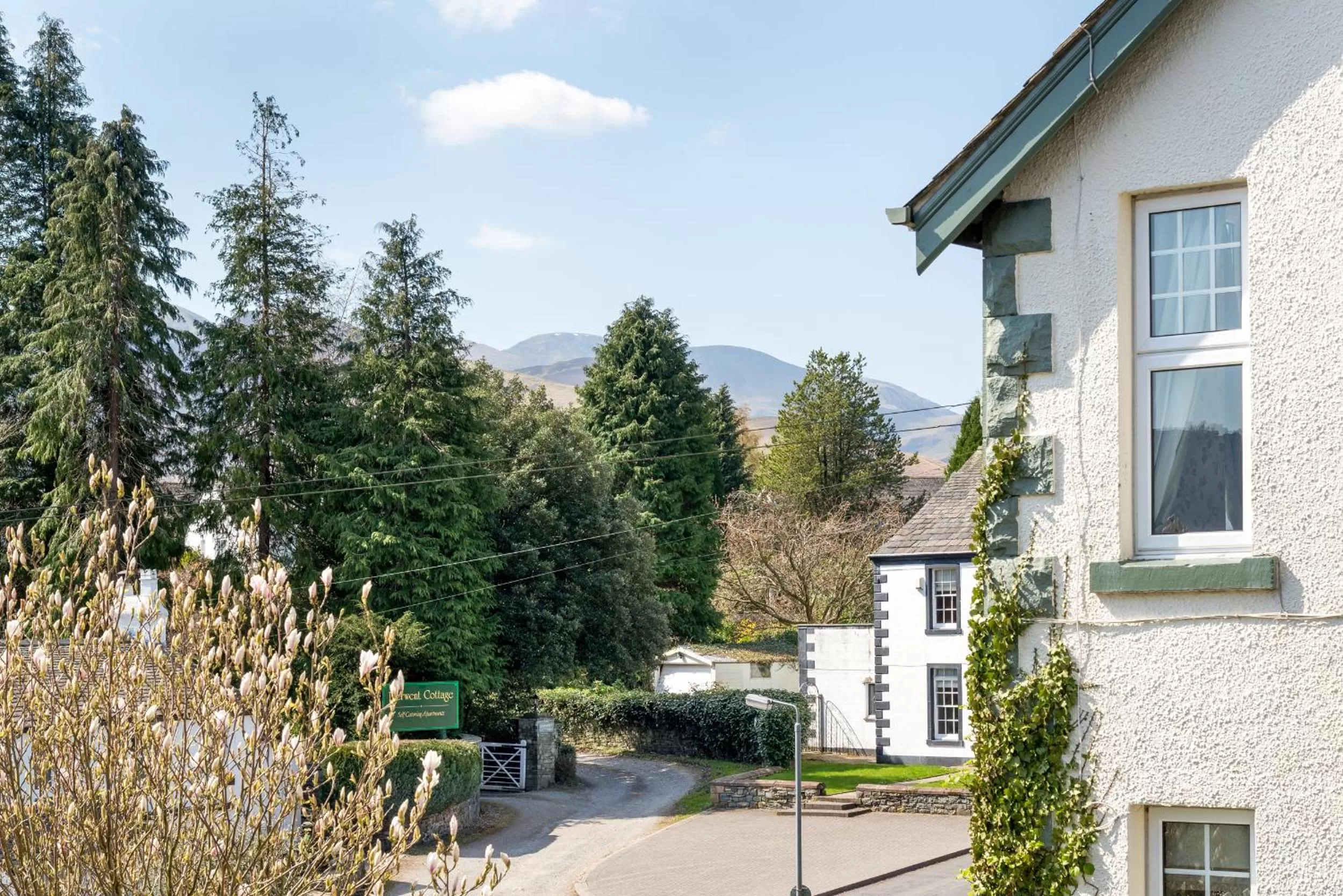 Mountain view in Skiddaw Croft Bed & Breakfast