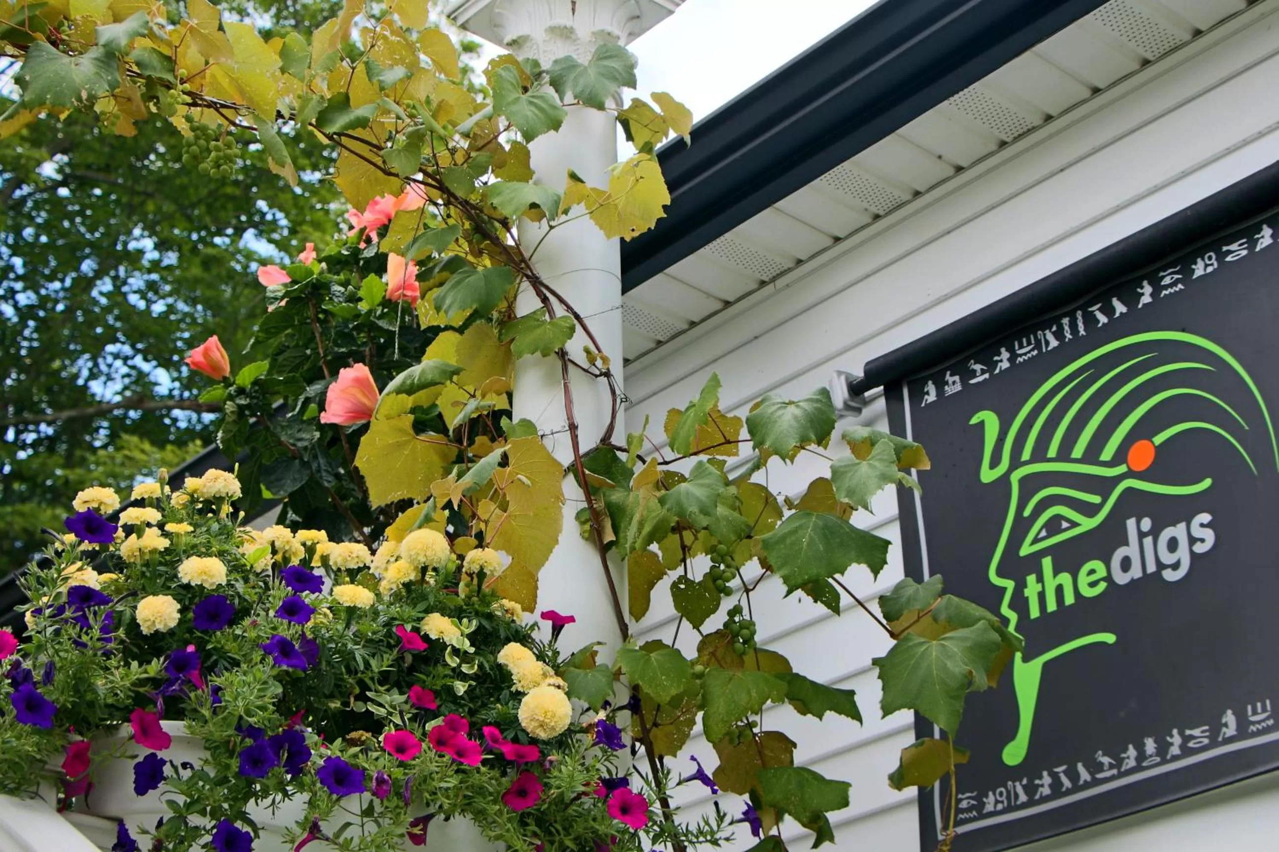 Property building in The Roxbury