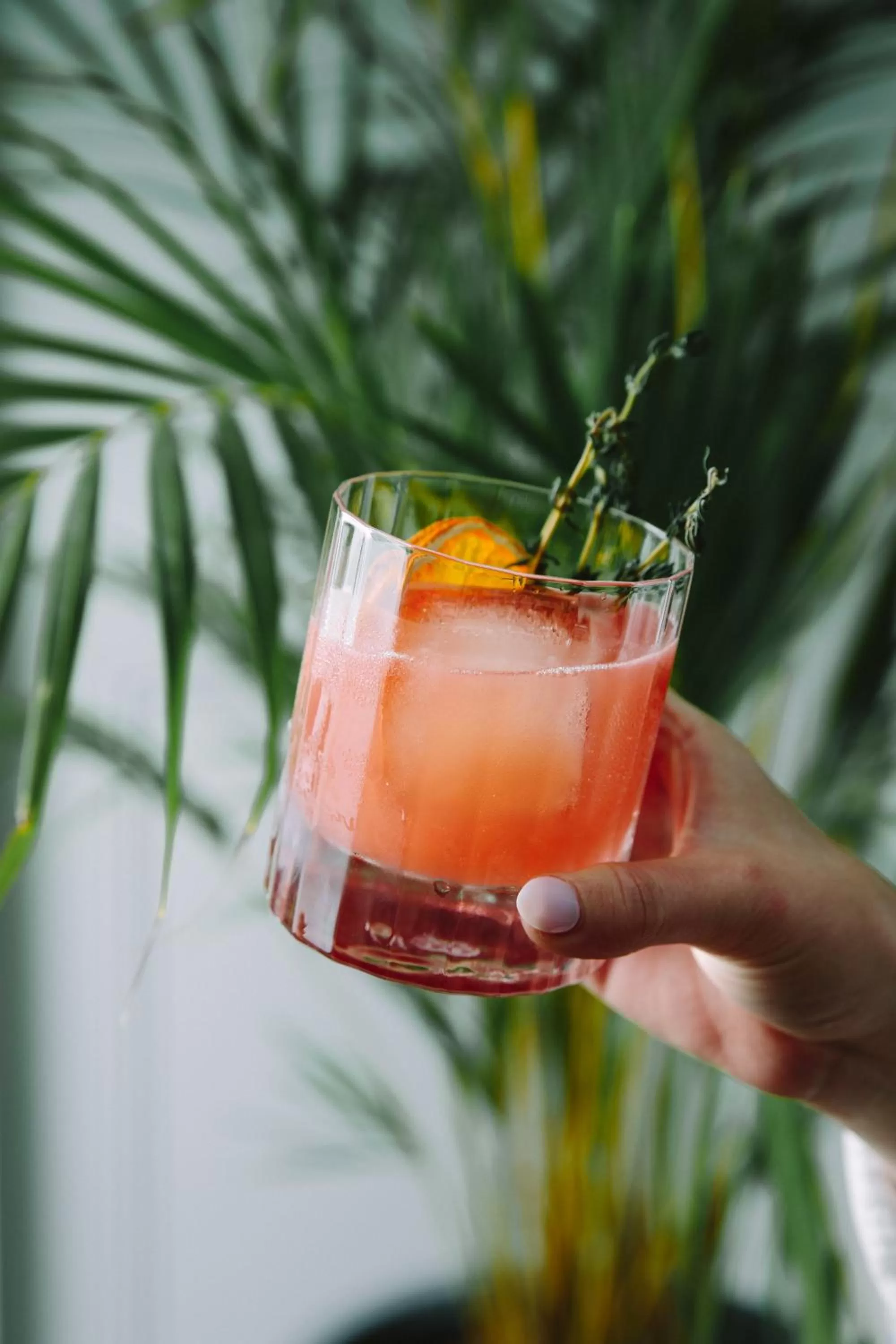 Alcoholic drinks in Coogee Bay Boutique Hotel