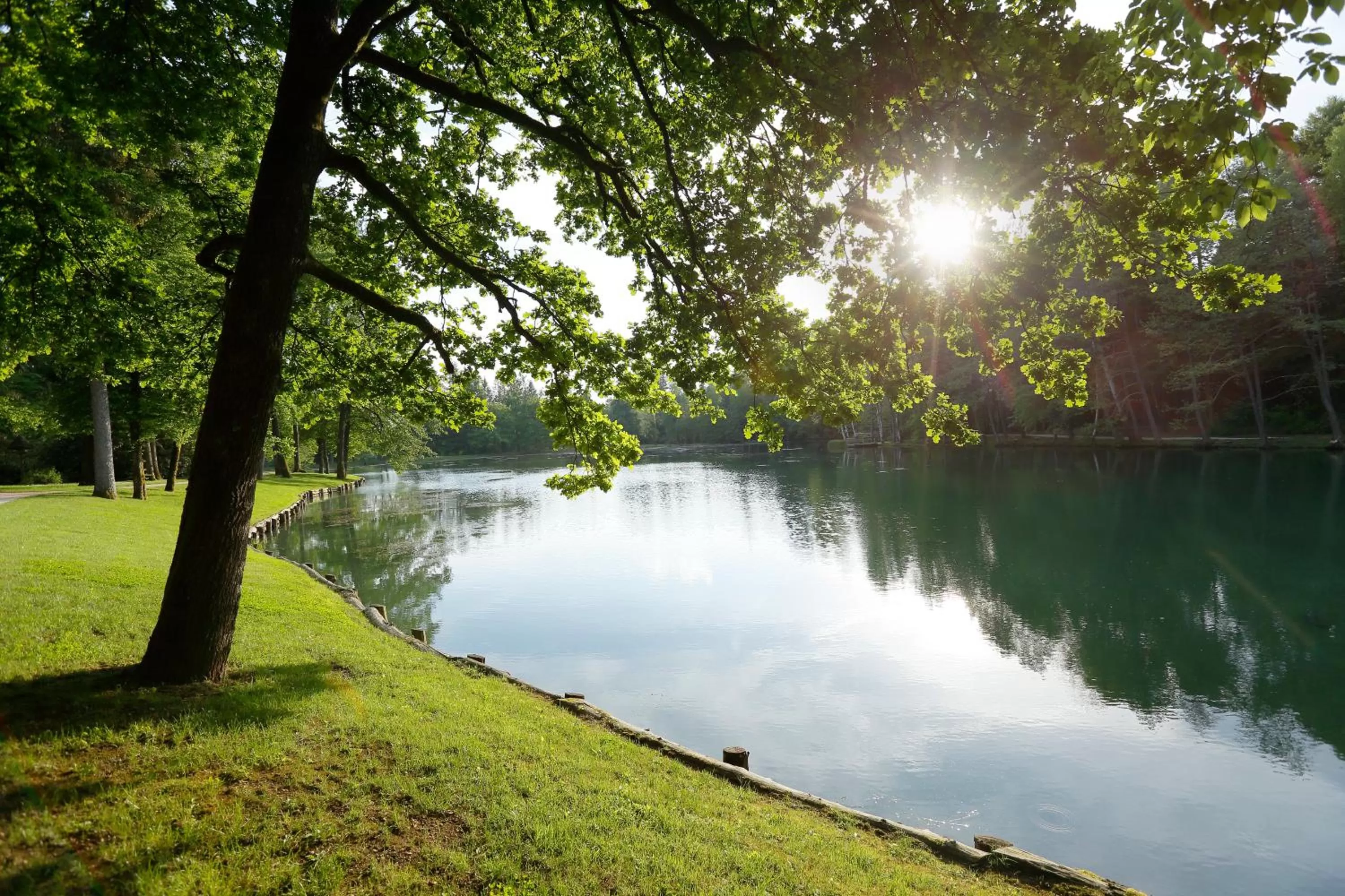 Natural landscape in Elegans Hotel Brdo