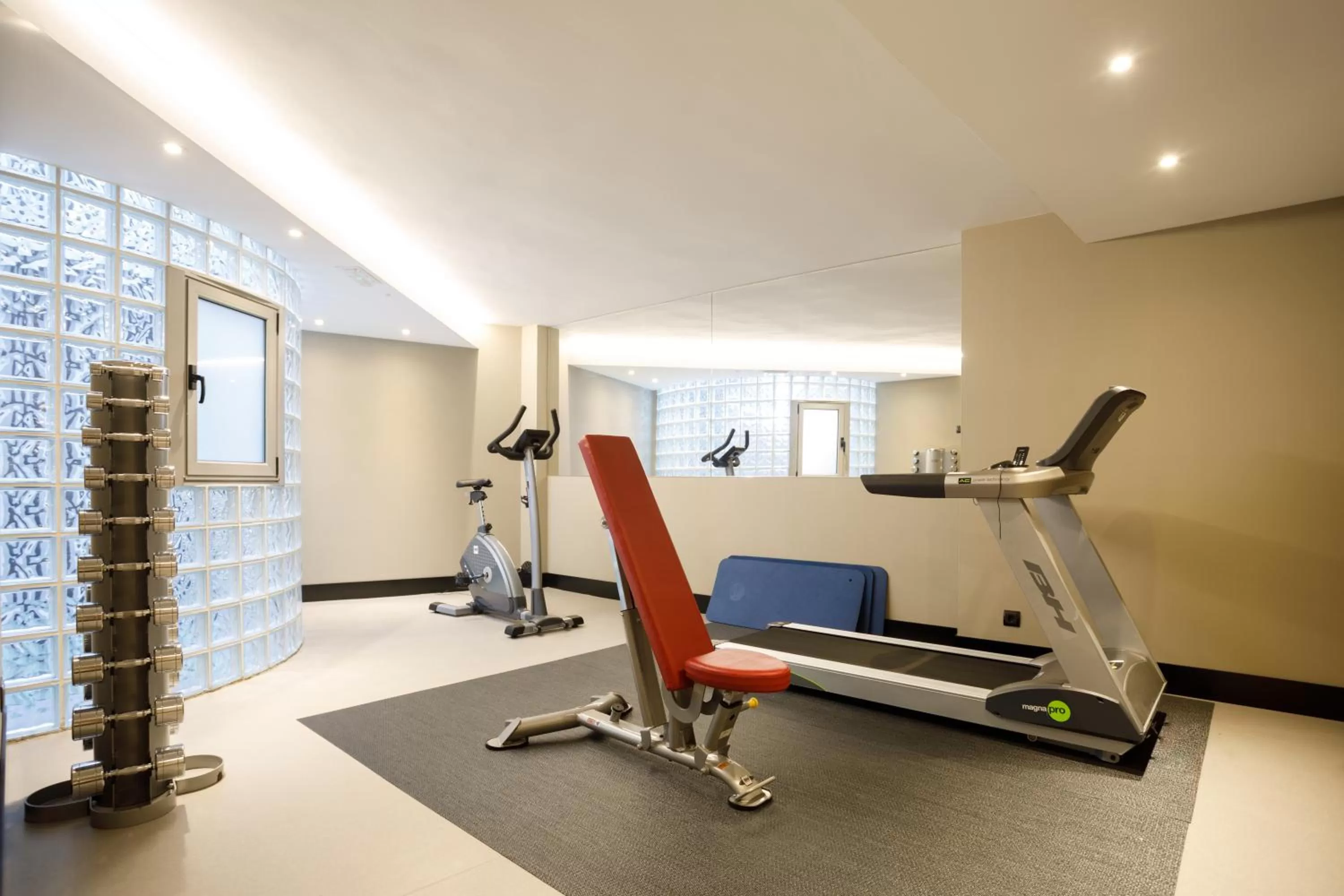 Fitness centre/facilities in Hotel Plaza
