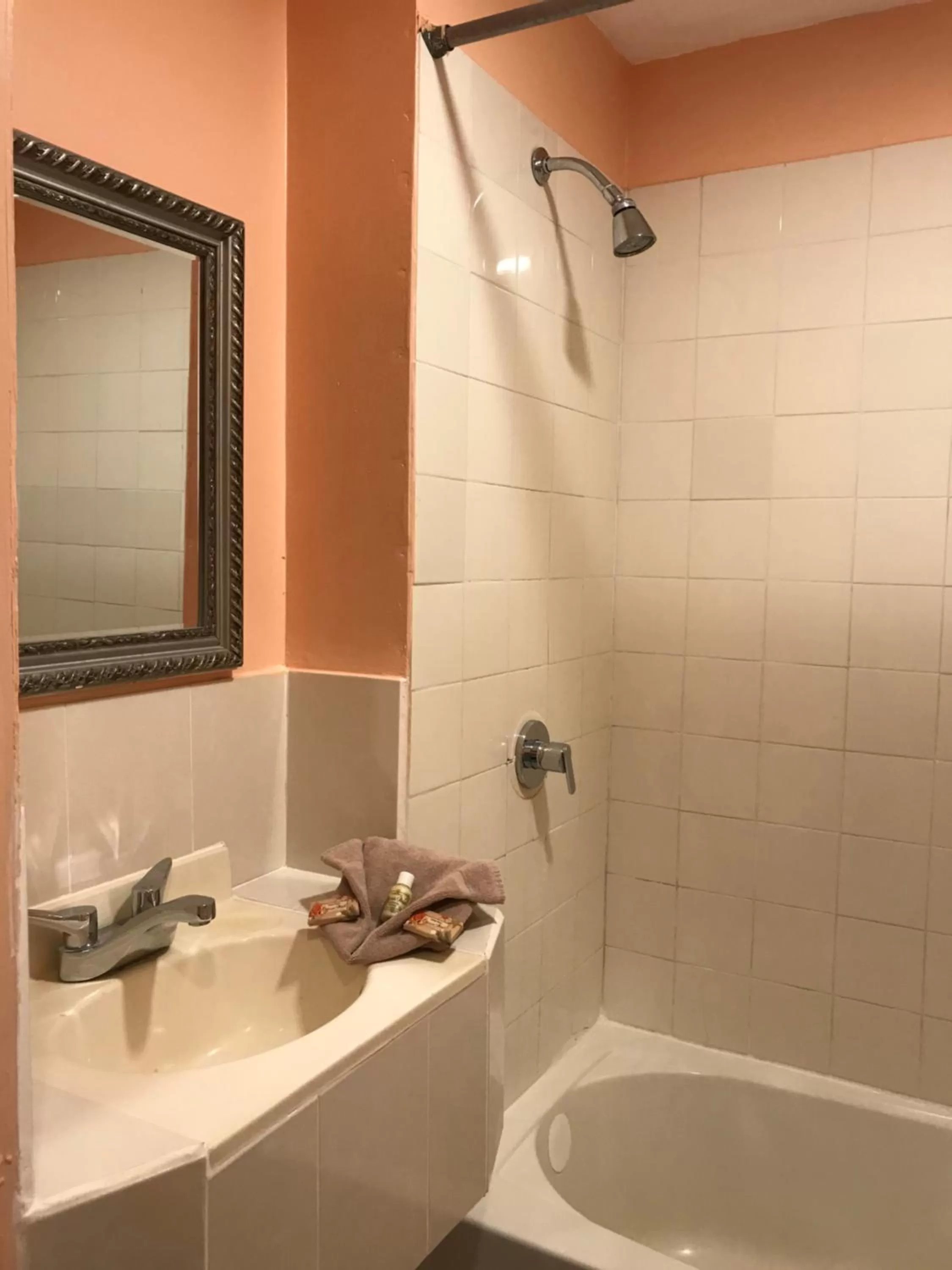 Shower, Bathroom in Tropical Paradise Express