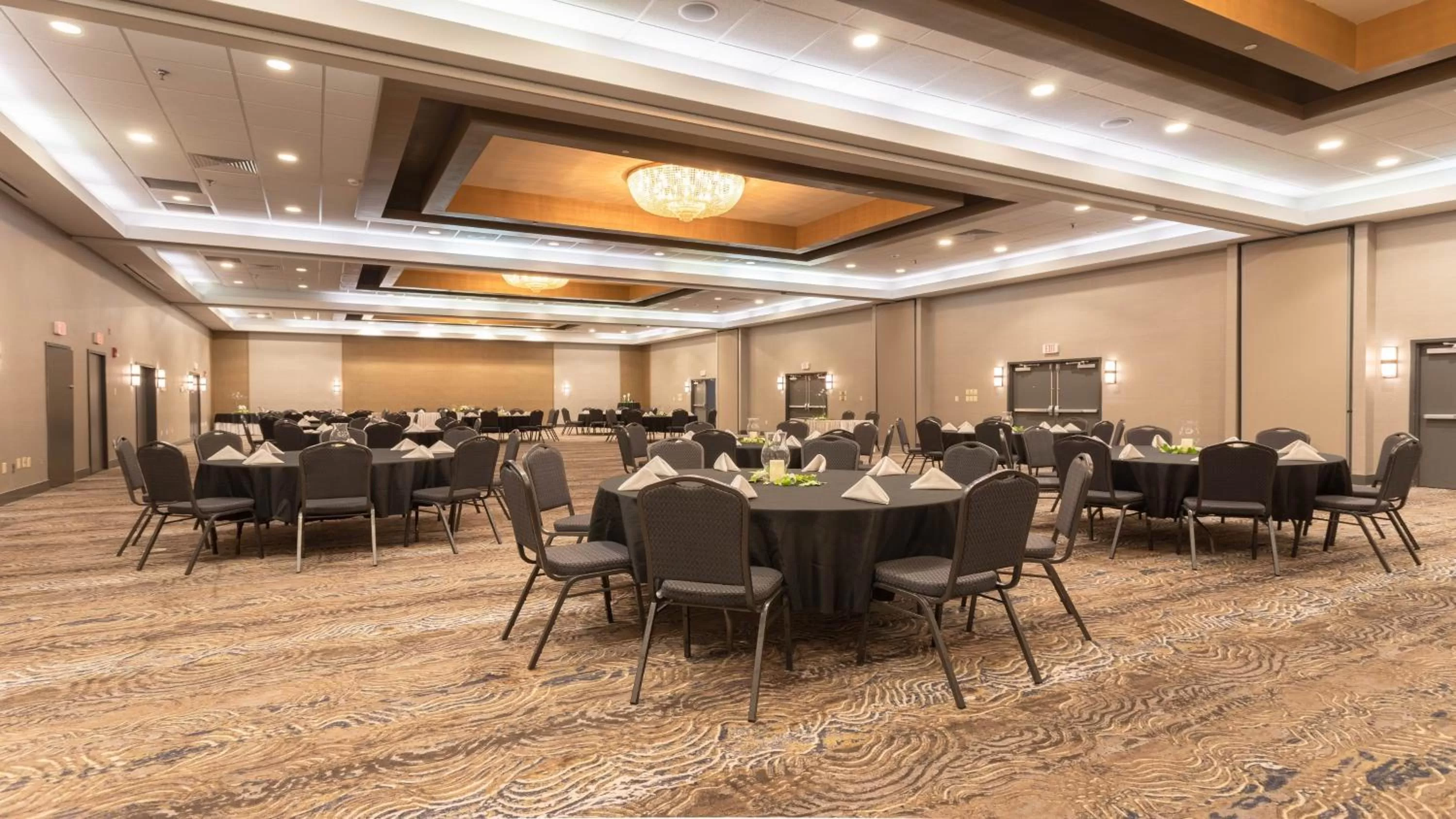 Meeting/conference room in Holiday Inn Roanoke Airport - Conference CTR by IHG