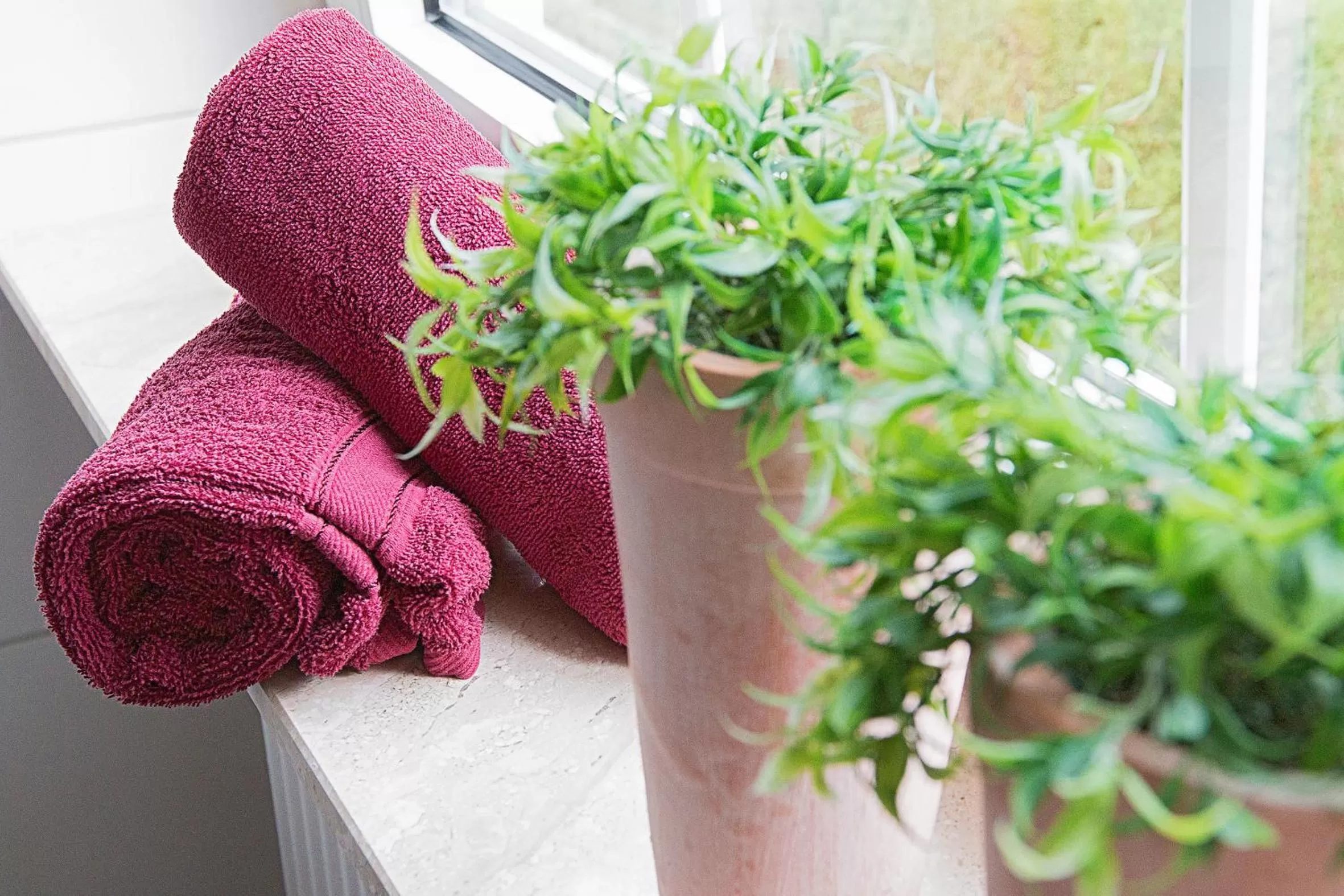 Decorative detail in Haus Anna an der Stadtmauer