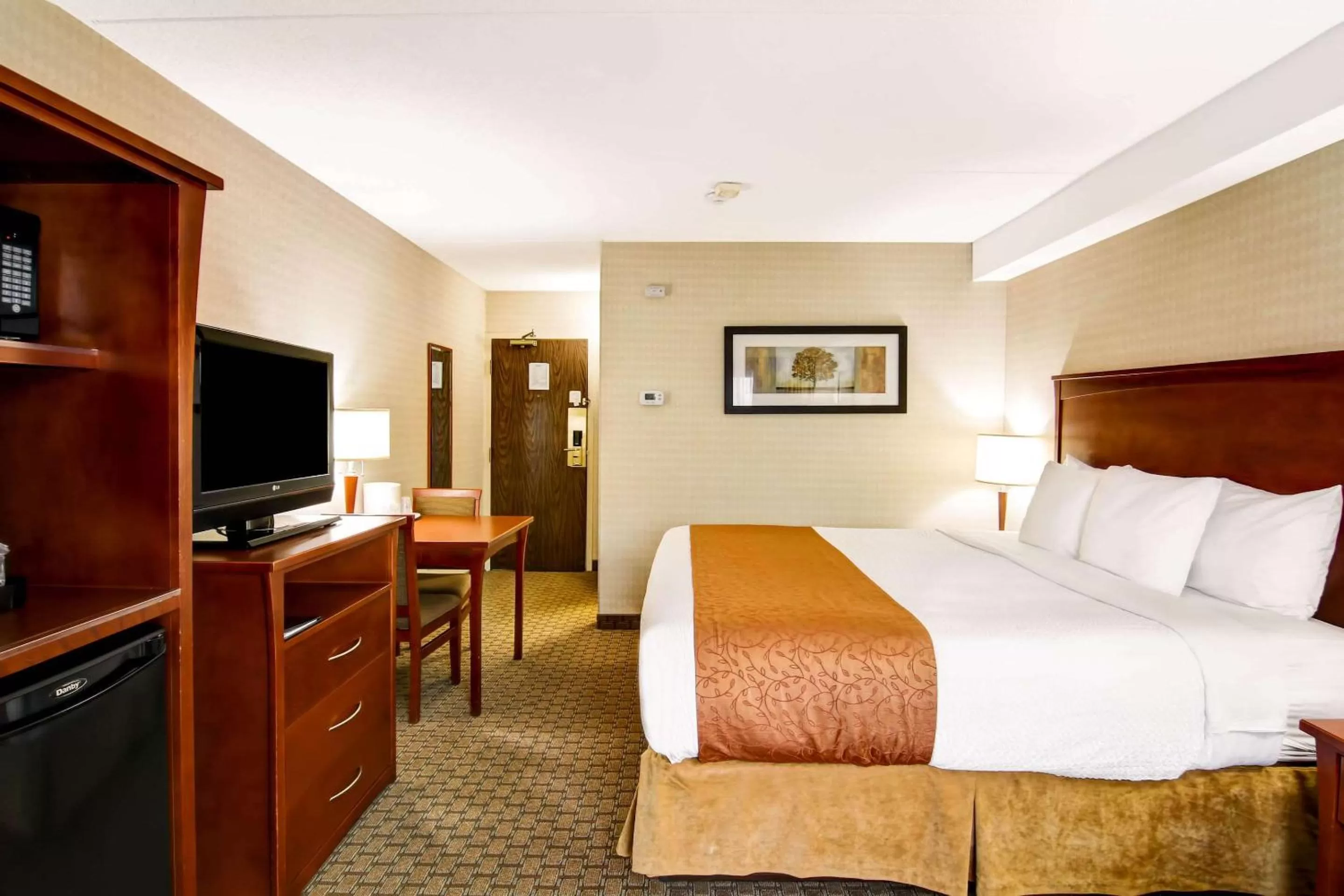 Photo of the whole room, Bed in Quality Inn