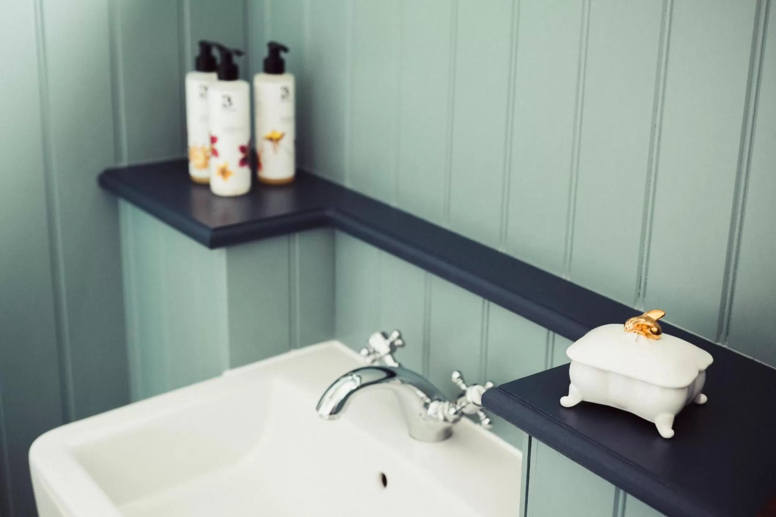 Pets in Merchants Manor Spa