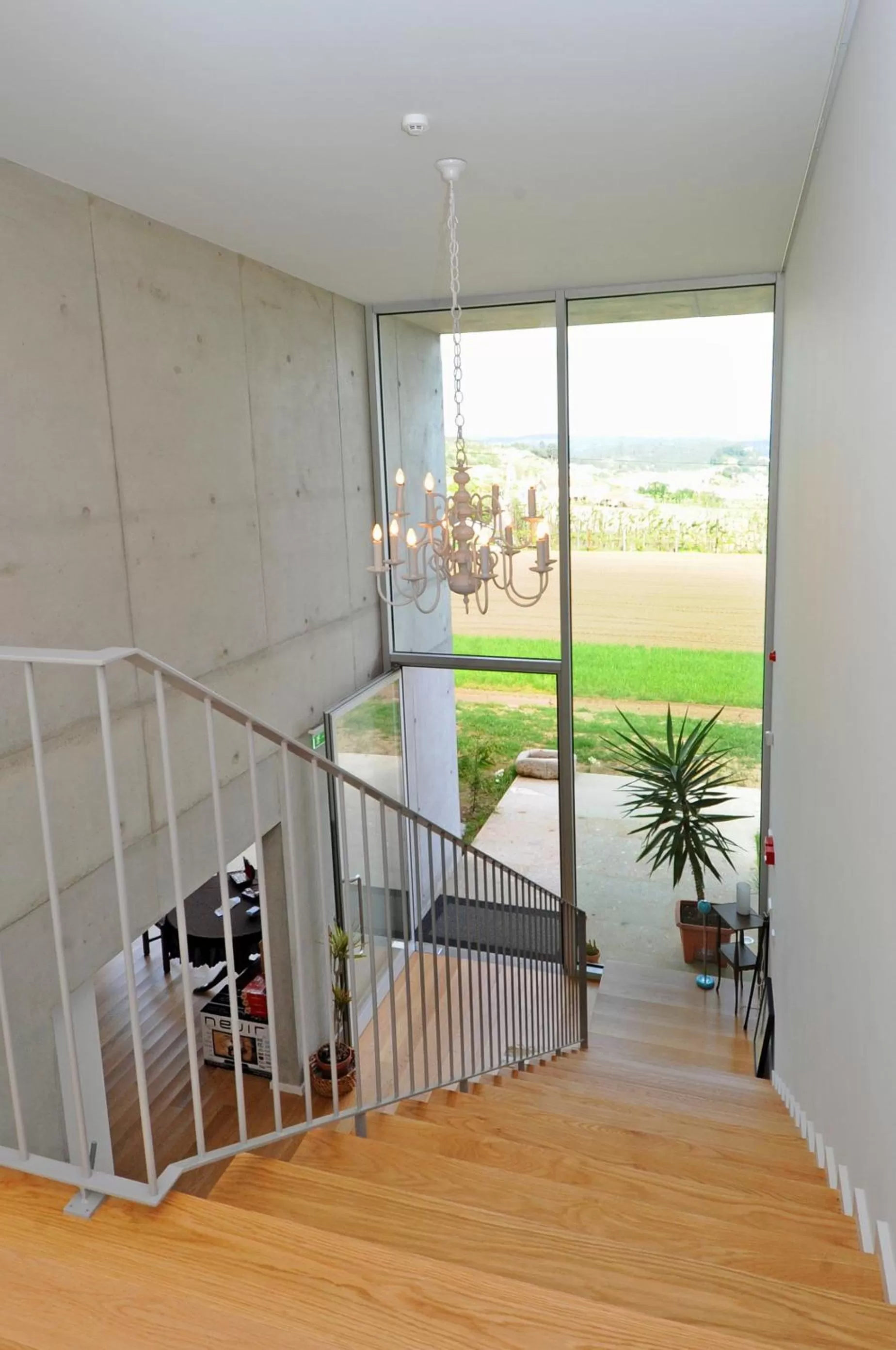 Decorative detail in Quinta Pedras De Baixo