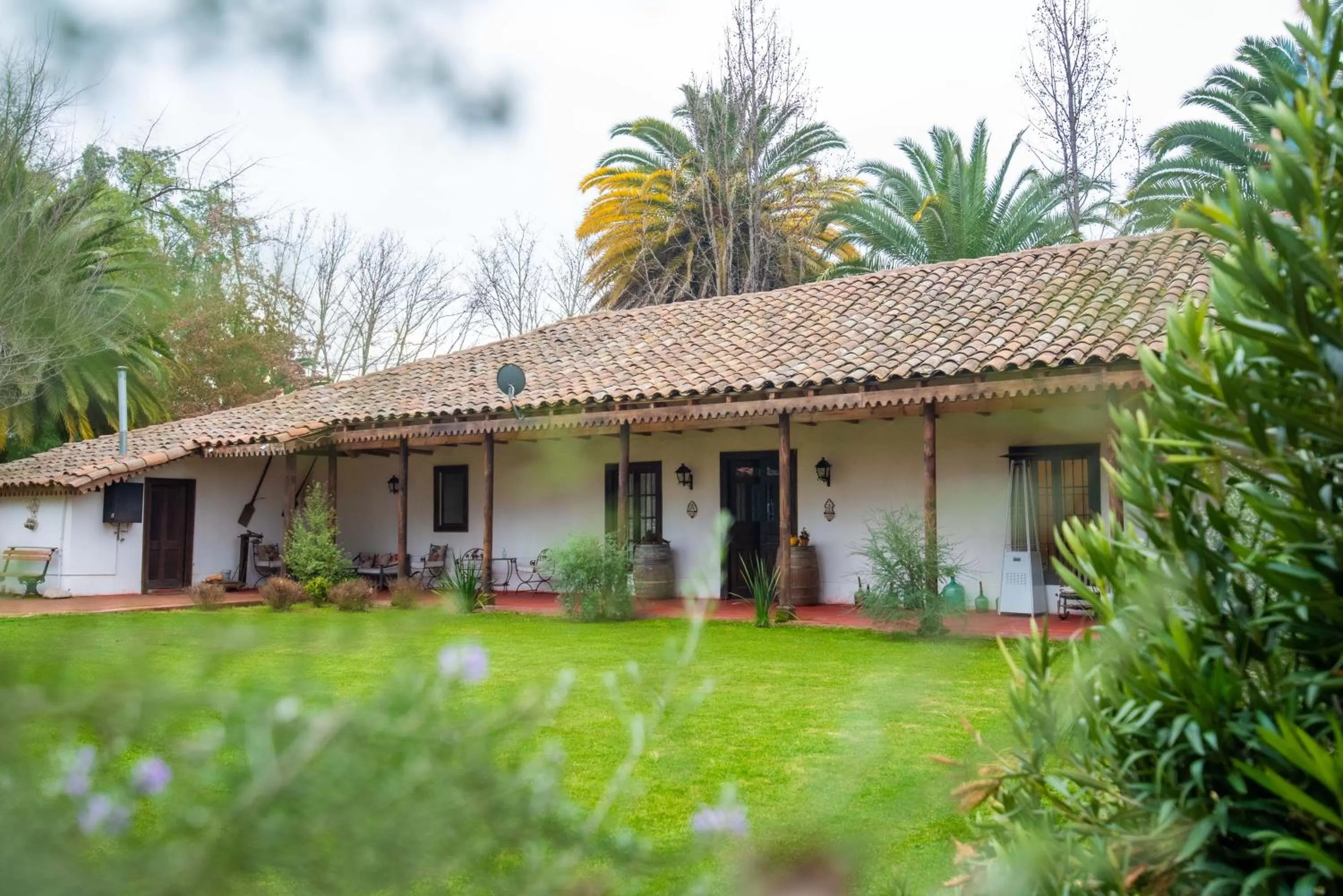Garden view in Hotel Boutique Raíces de Colchagua