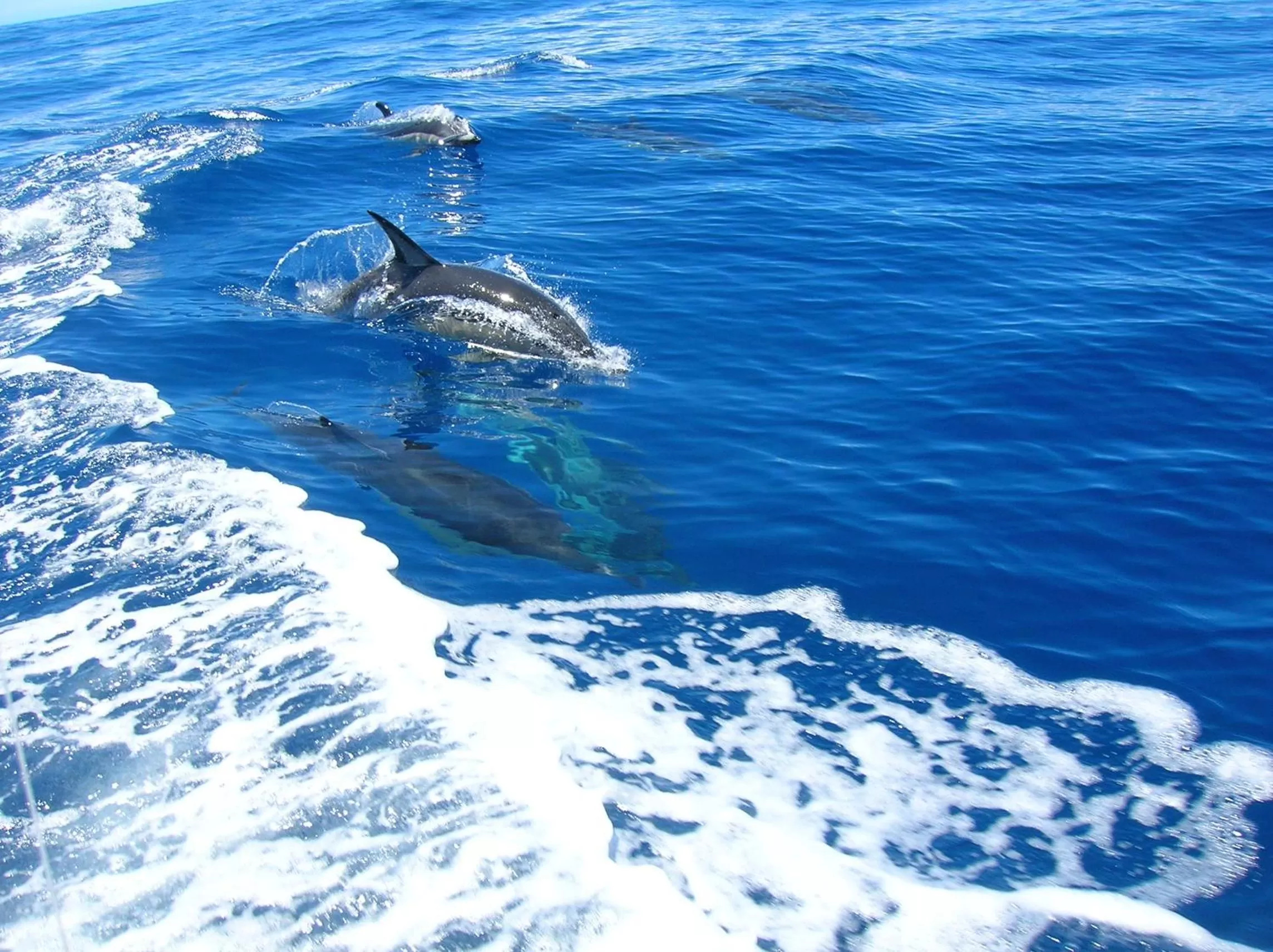 Summer in Tourist Court Motel