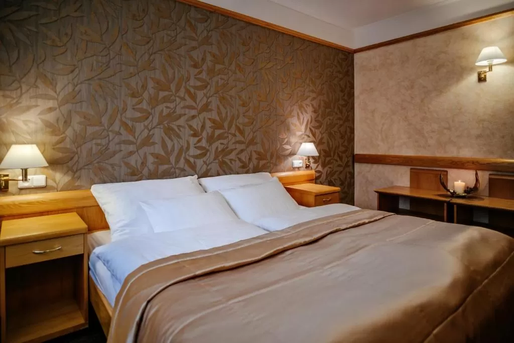 Photo of the whole room, Bed in Hotel Akademie a depandance Vila Jarmila