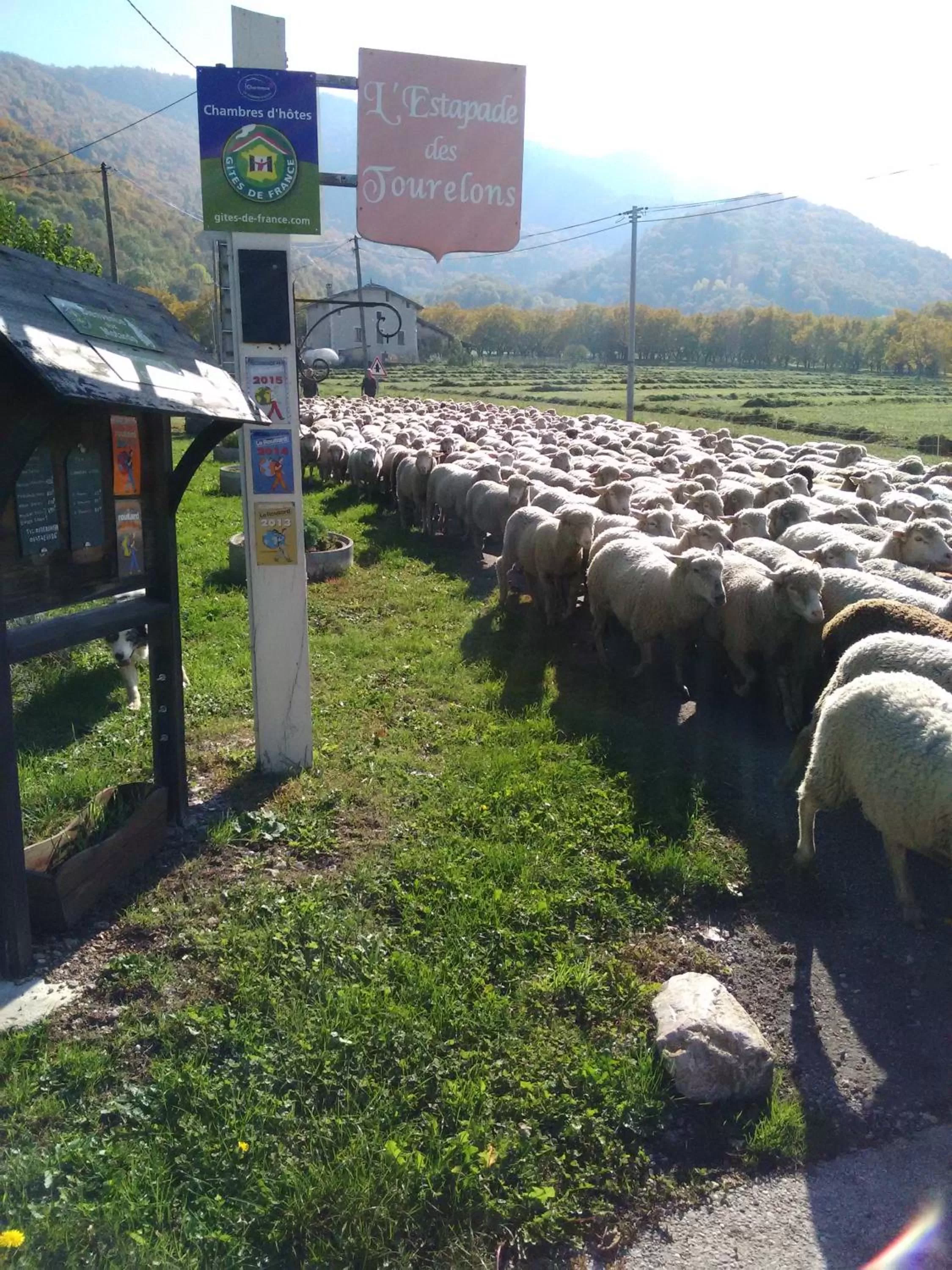 View (from property/room) in L'Estapade des Tourelons