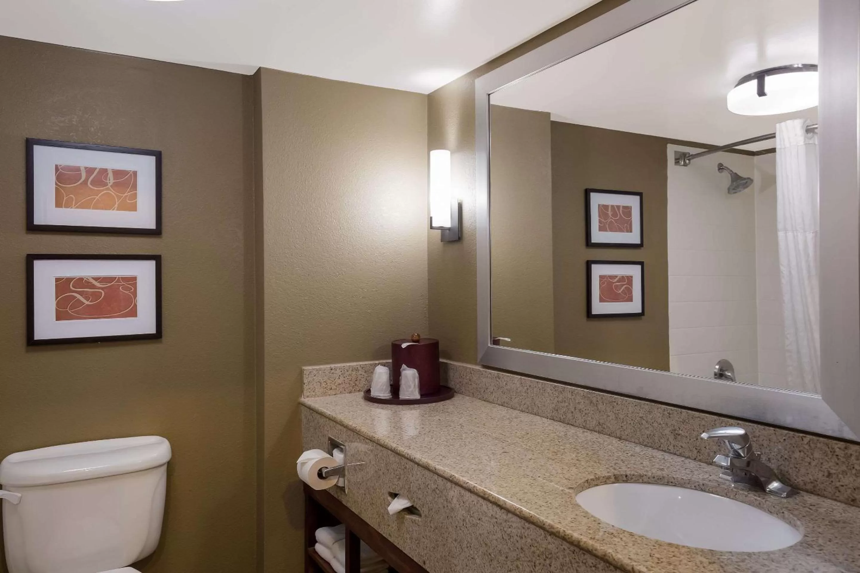Bathroom in Comfort Suites Near University
