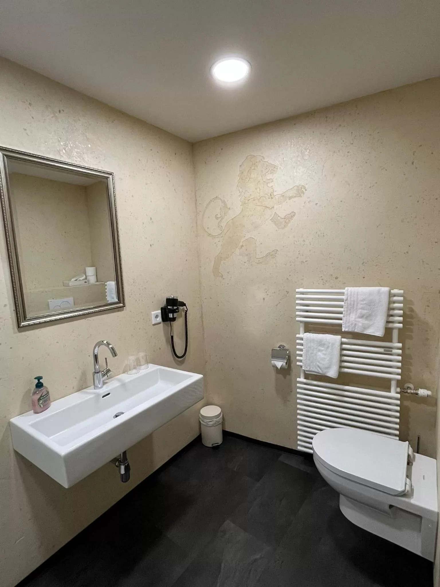 Toilet in Hotel Goldener Löwe