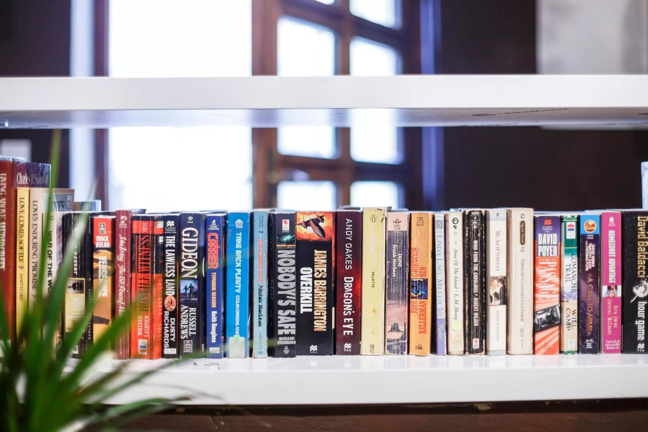 Library in Maksimilian Osijek