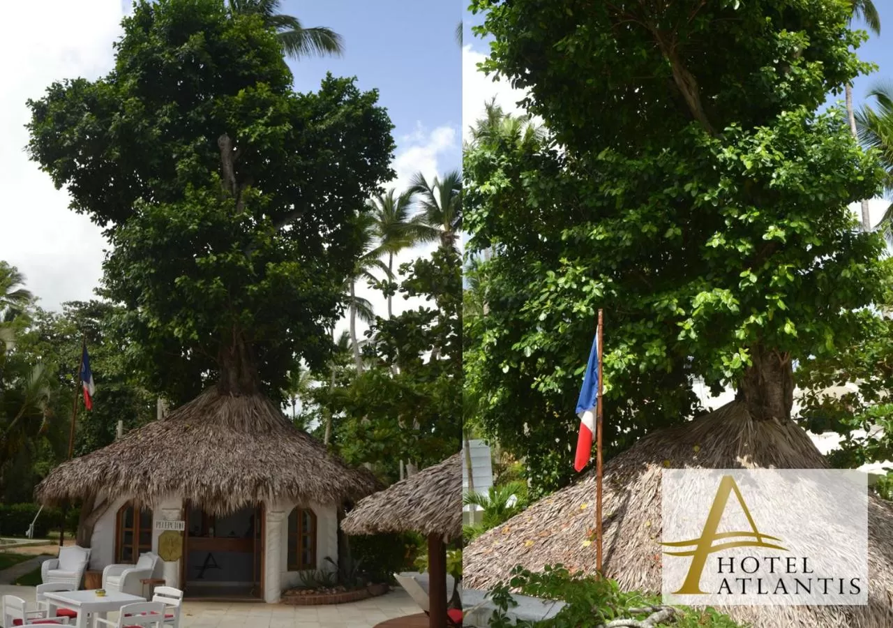 Lobby or reception in Hotel Atlantis