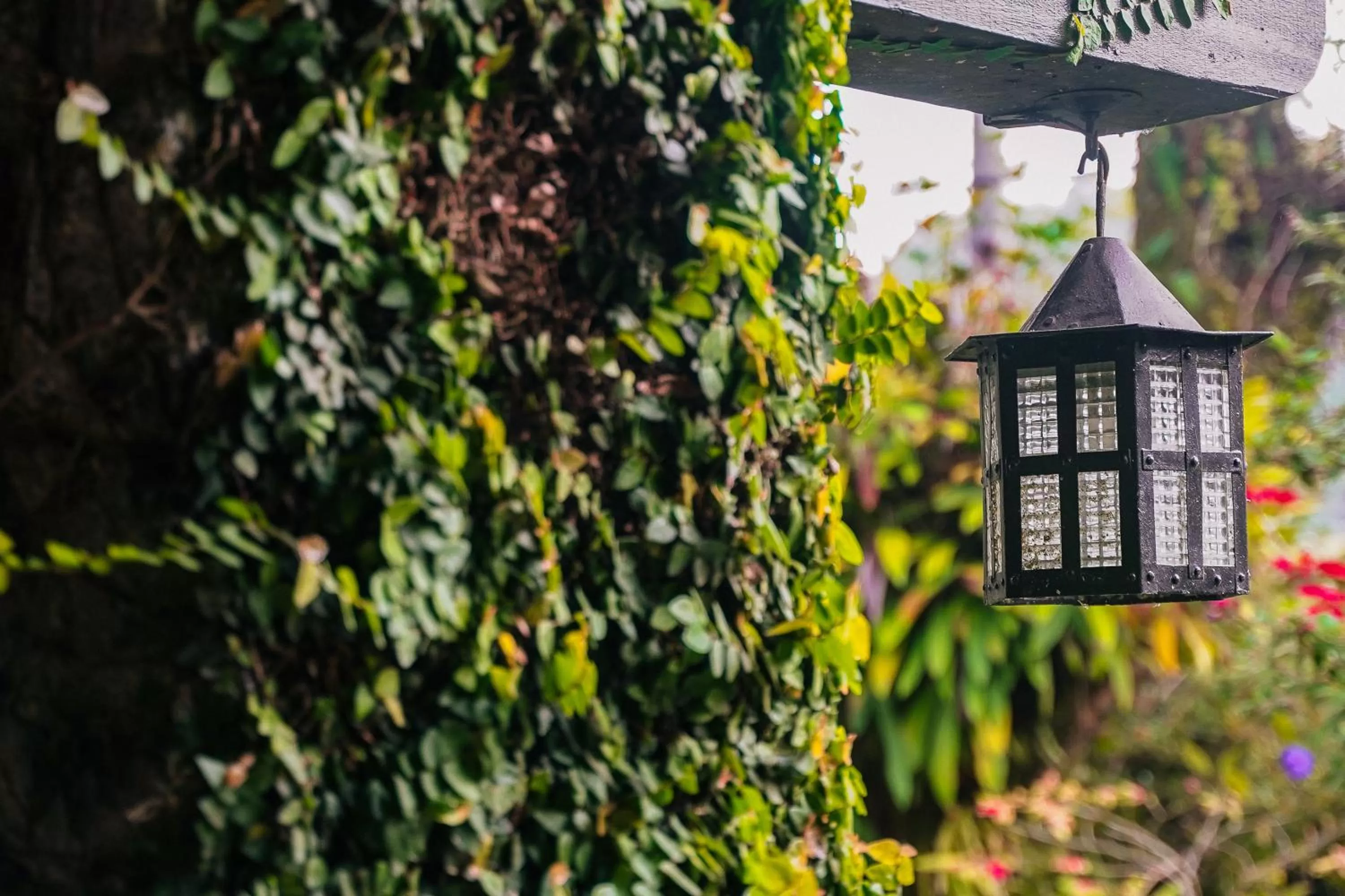 Property building in The Smokehouse Hotel & Restaurant Cameron Highlands