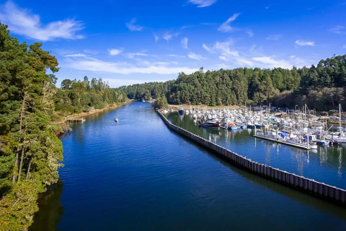 Natural landscape in Noyo Harbor Inn