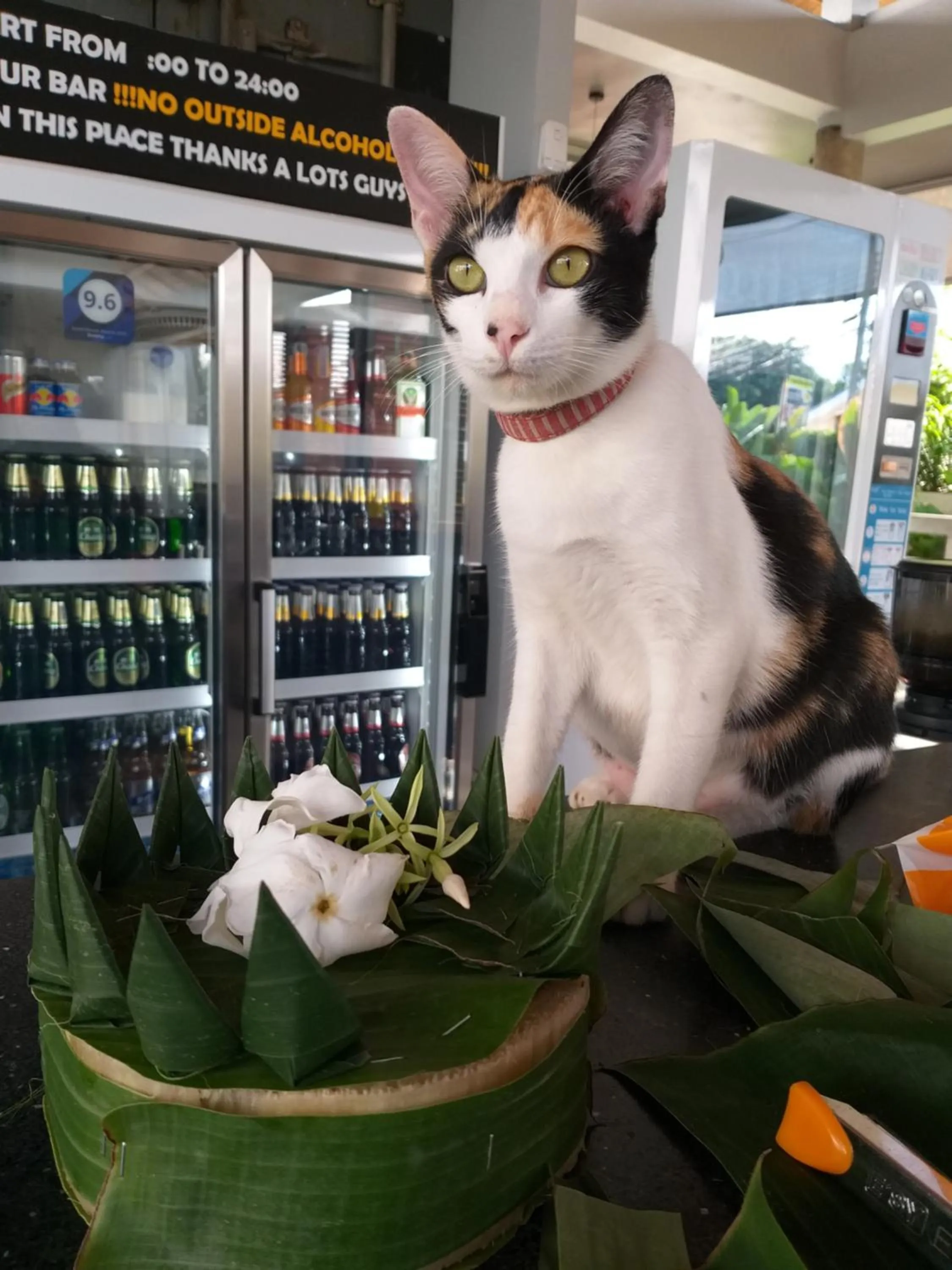 Lounge or bar in Us Hostel Samui