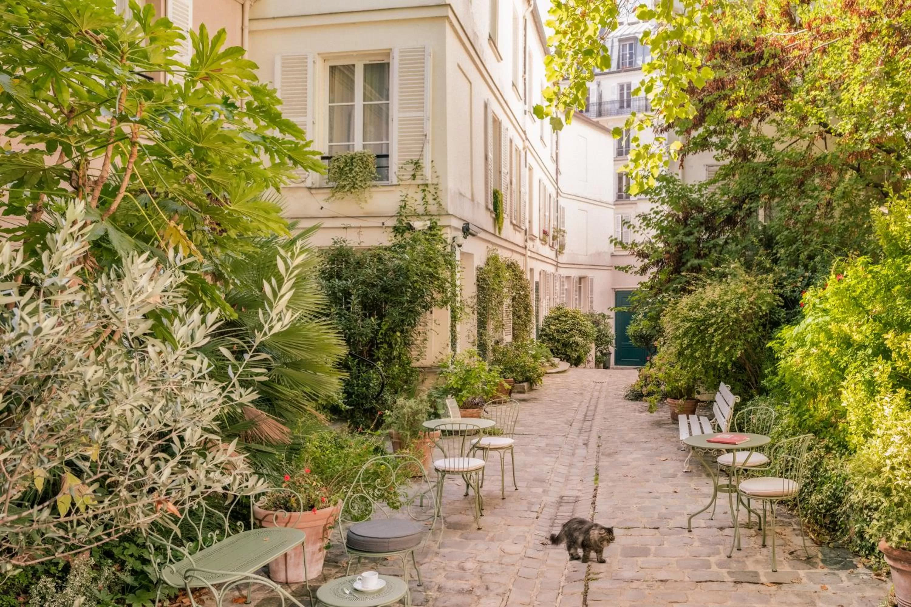 Garden in Hotel des Grandes Ecoles