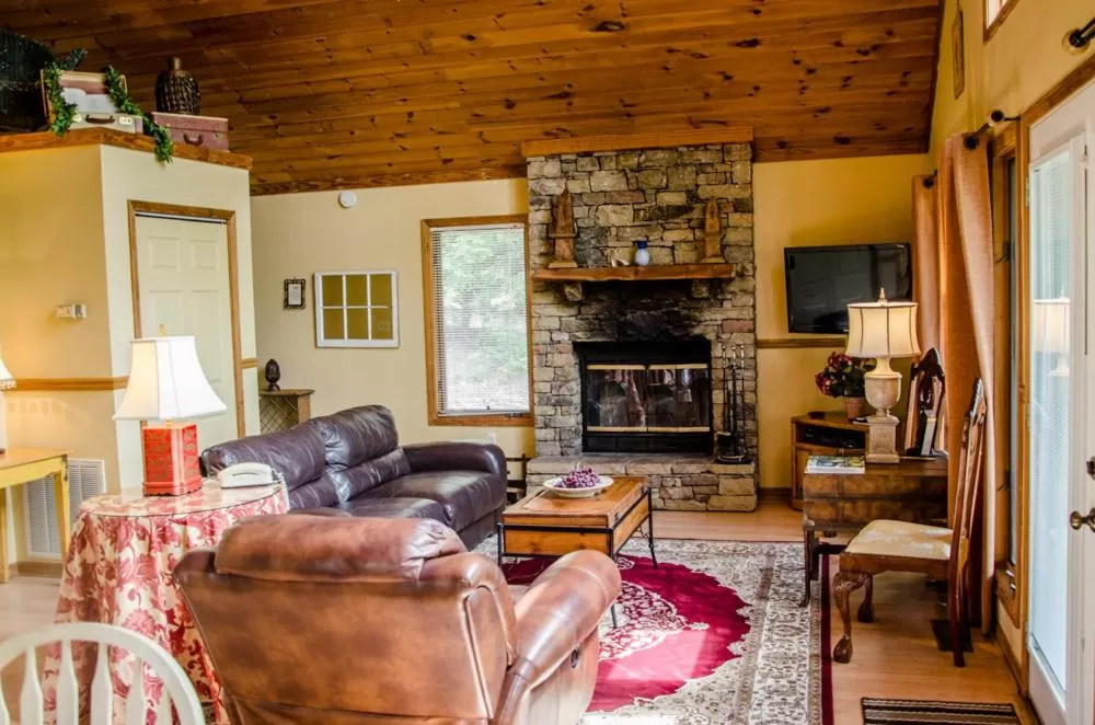 Living room, Seating Area in Asheville Cabins of Willow Winds