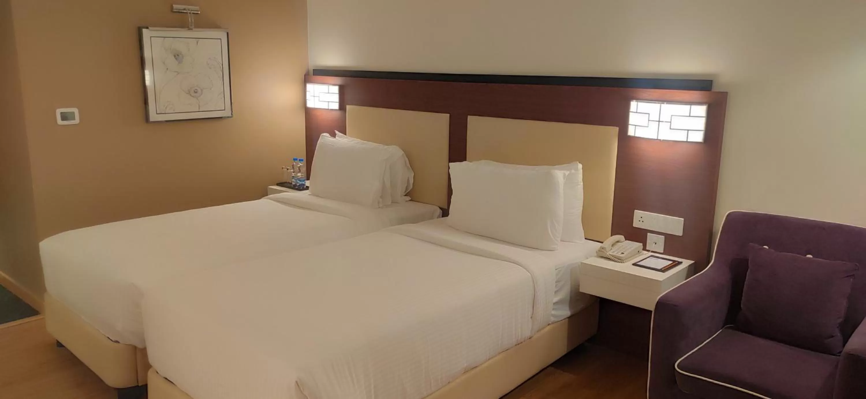 Bed in Manjeera Sarovar Premiere