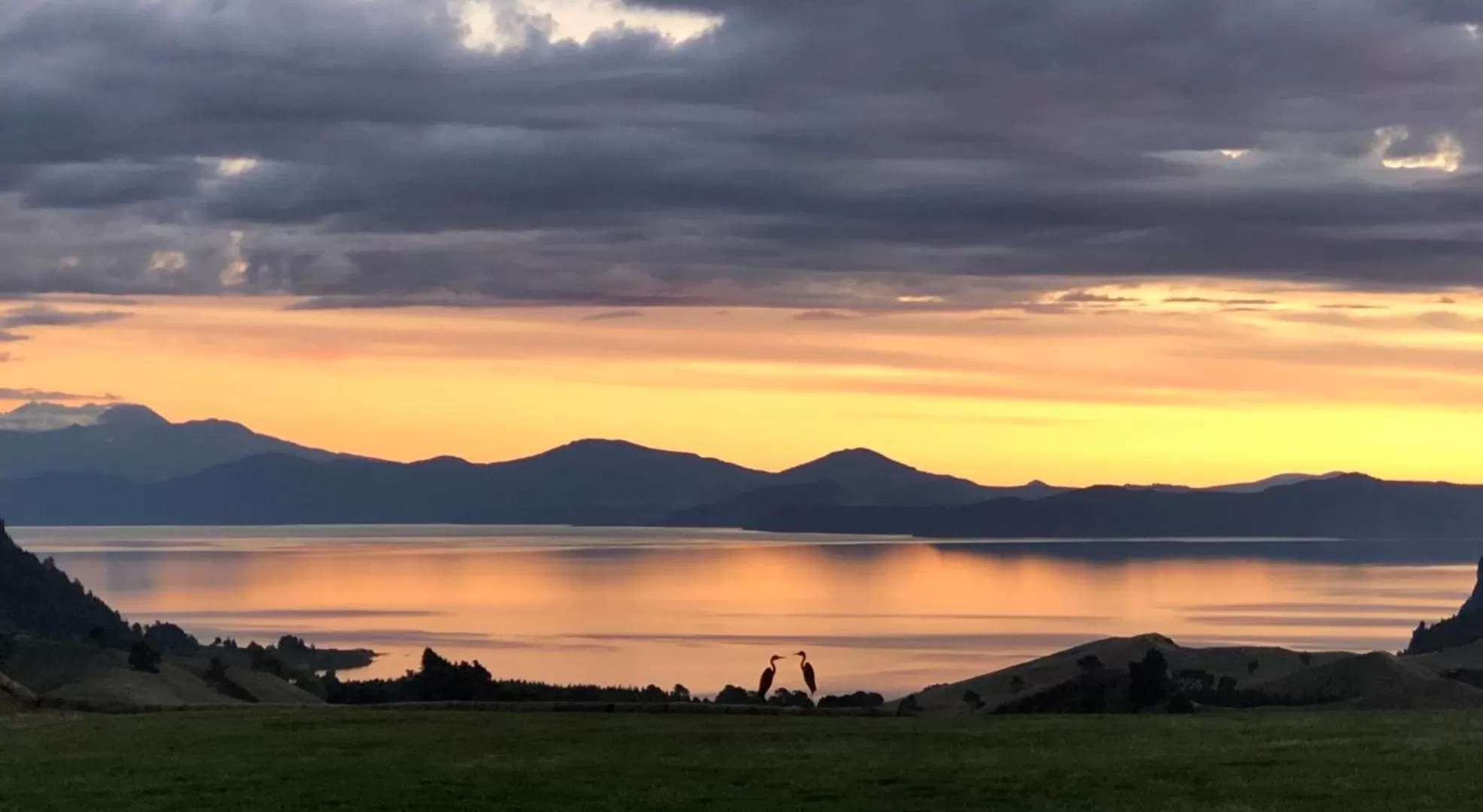 Sunset in Hilltop Whakaipo Estate