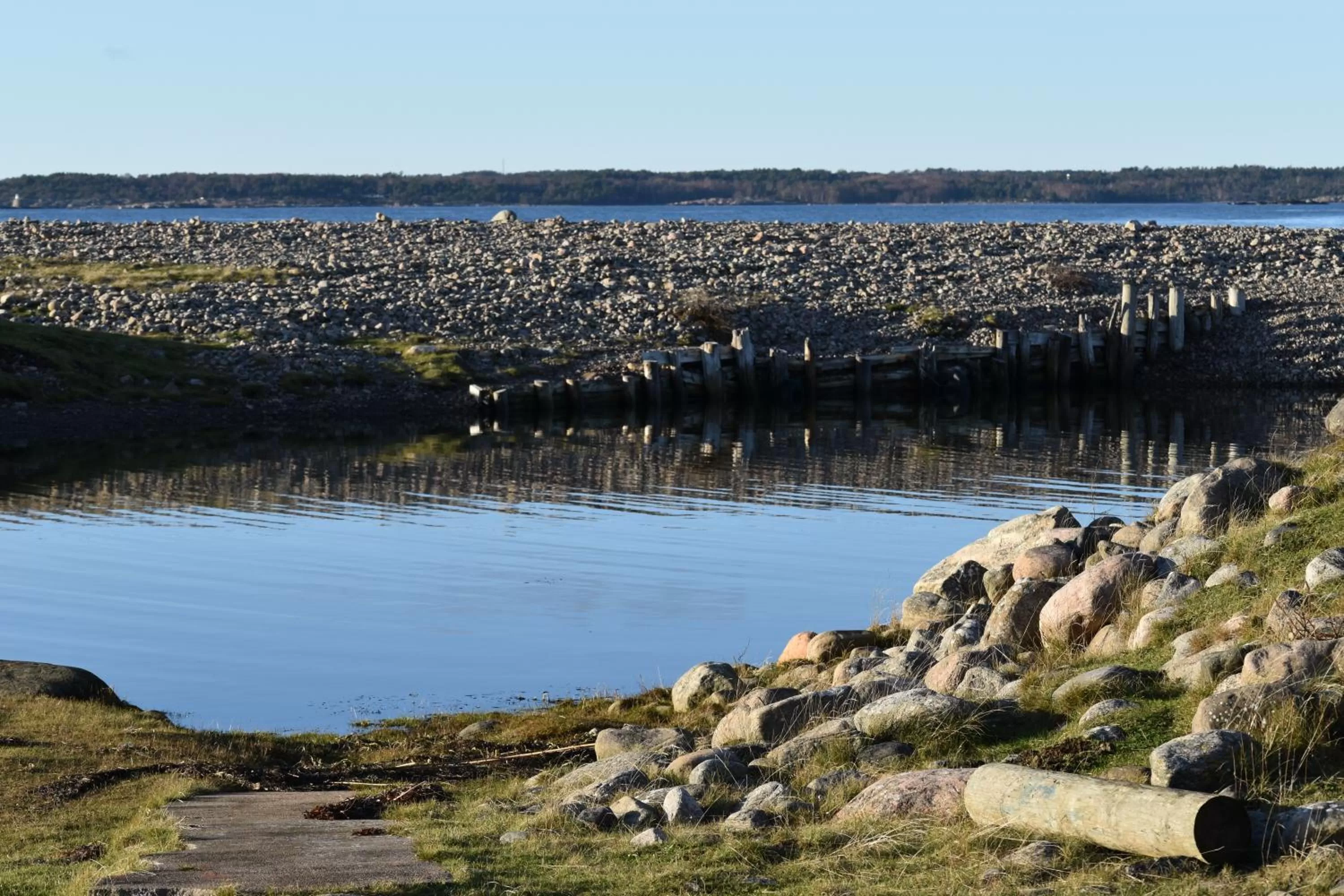 Natural landscape in Åsa Jutegård