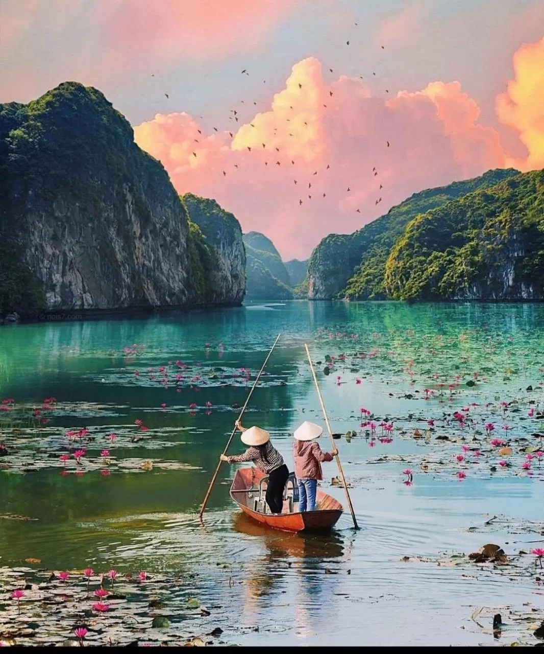 Natural landscape, Canoeing in Green Space Homestay