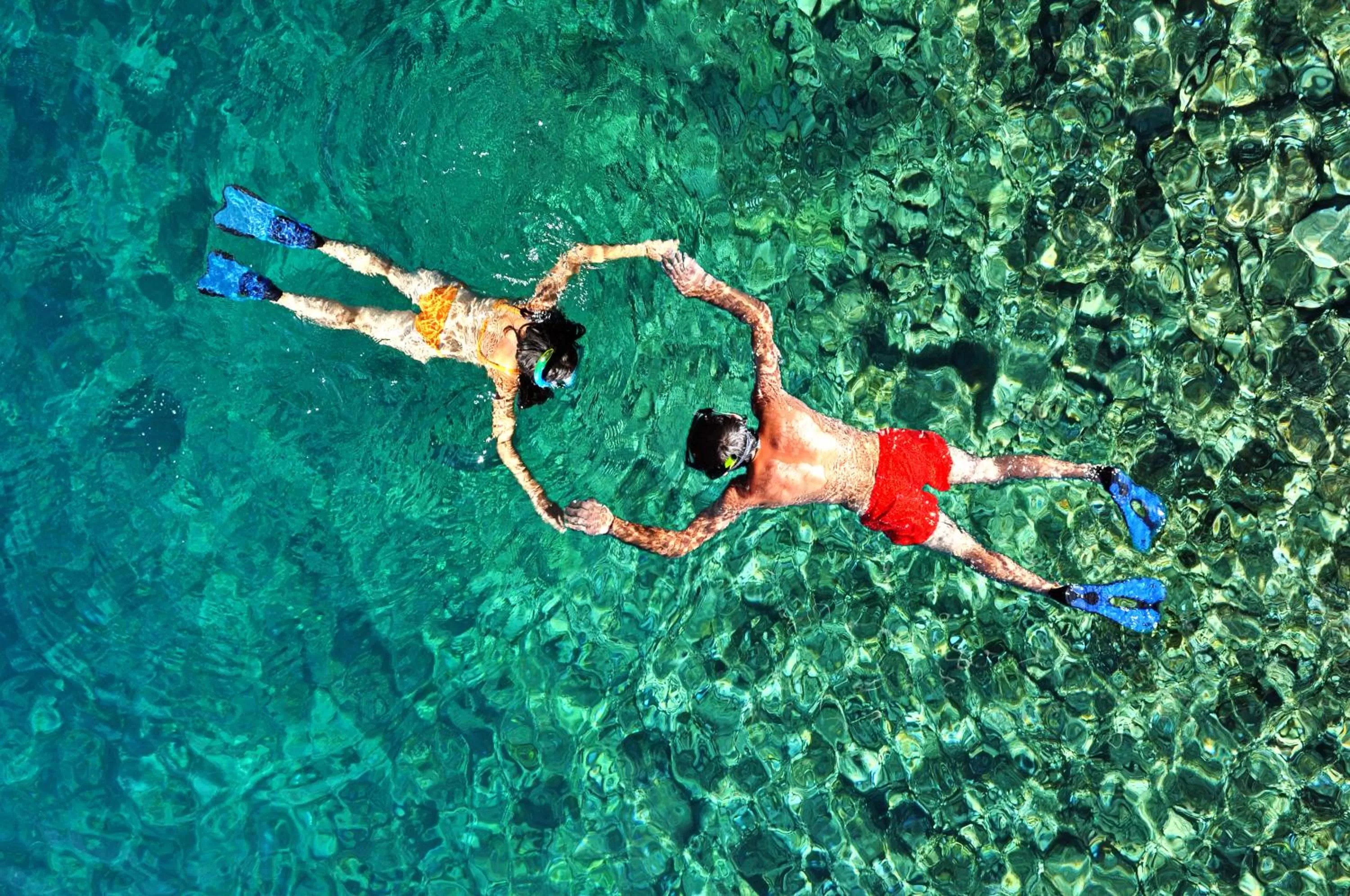 Snorkeling in Pelican Reef Villas Resort