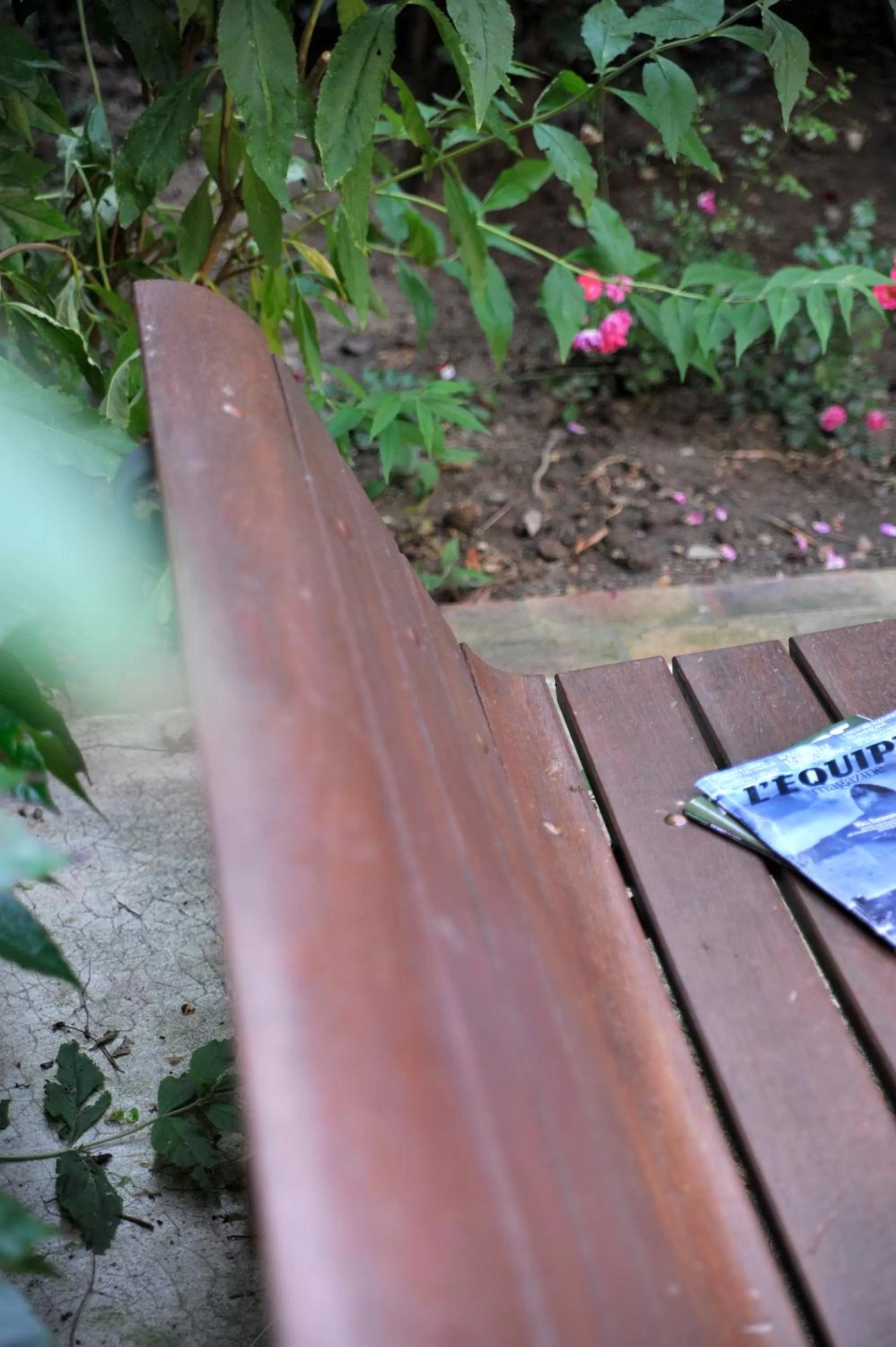 Garden in HOTEL DE PARIS MONTPARNASSE