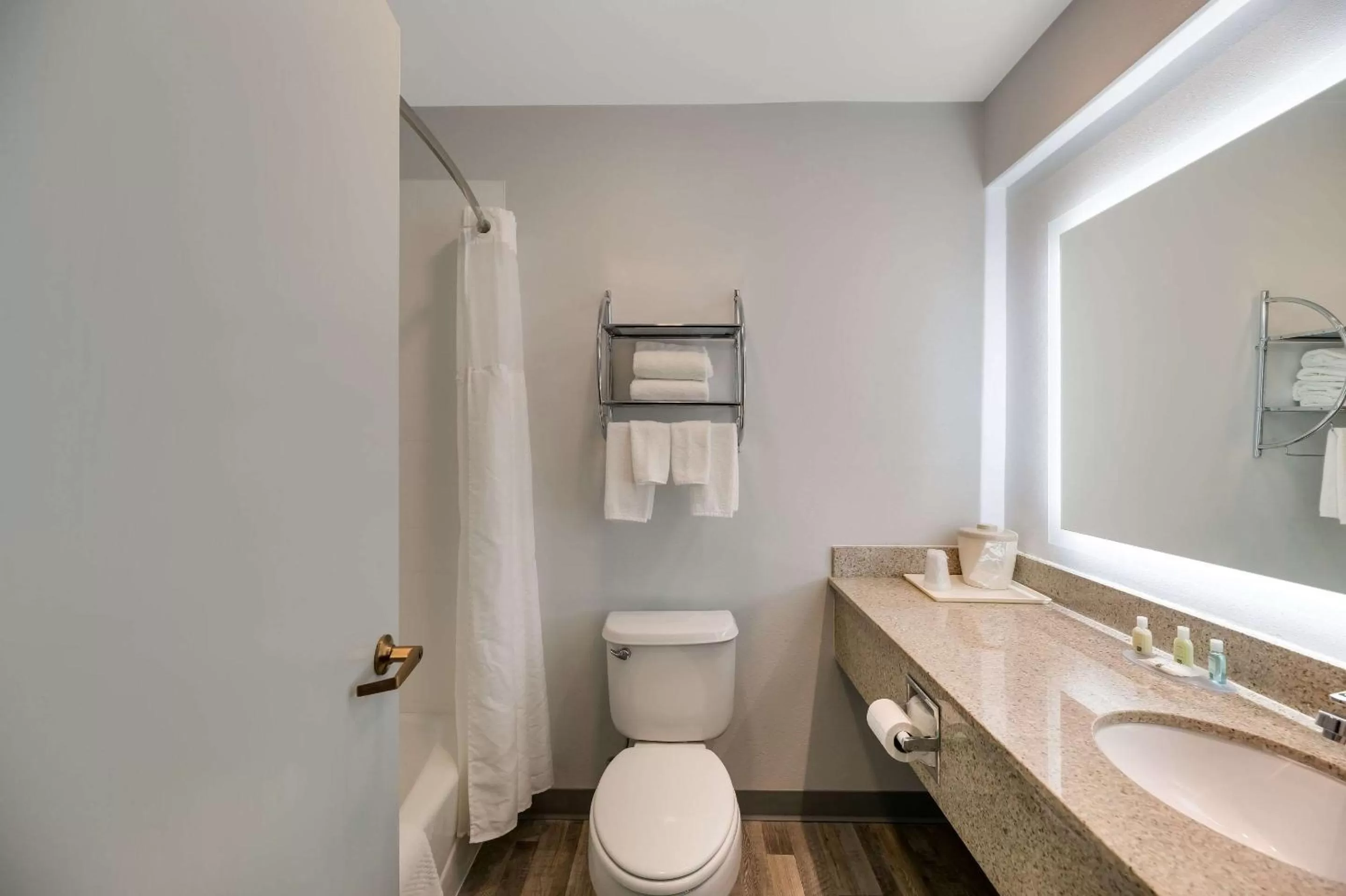 Toilet in Quality Inn & Suites Artesia