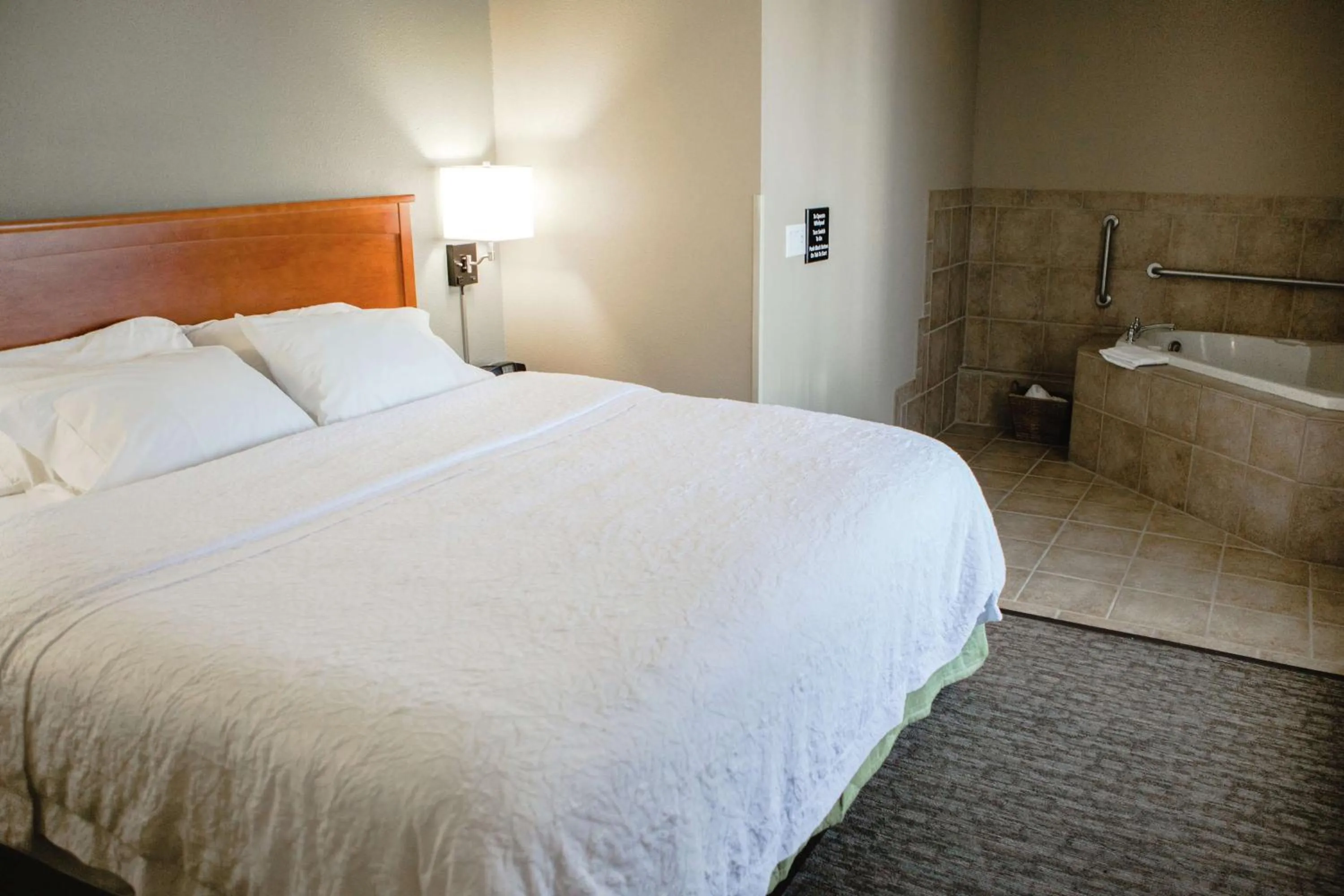 One-Bedroom King Suite with Fireplace in Hampton Inn Mitchell