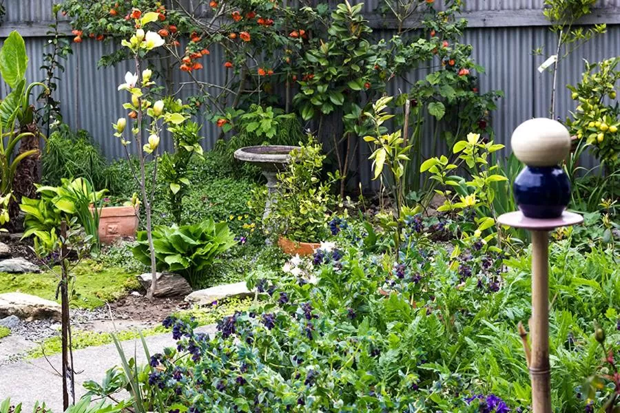 Patio/Outdoor Area in Magnolia House