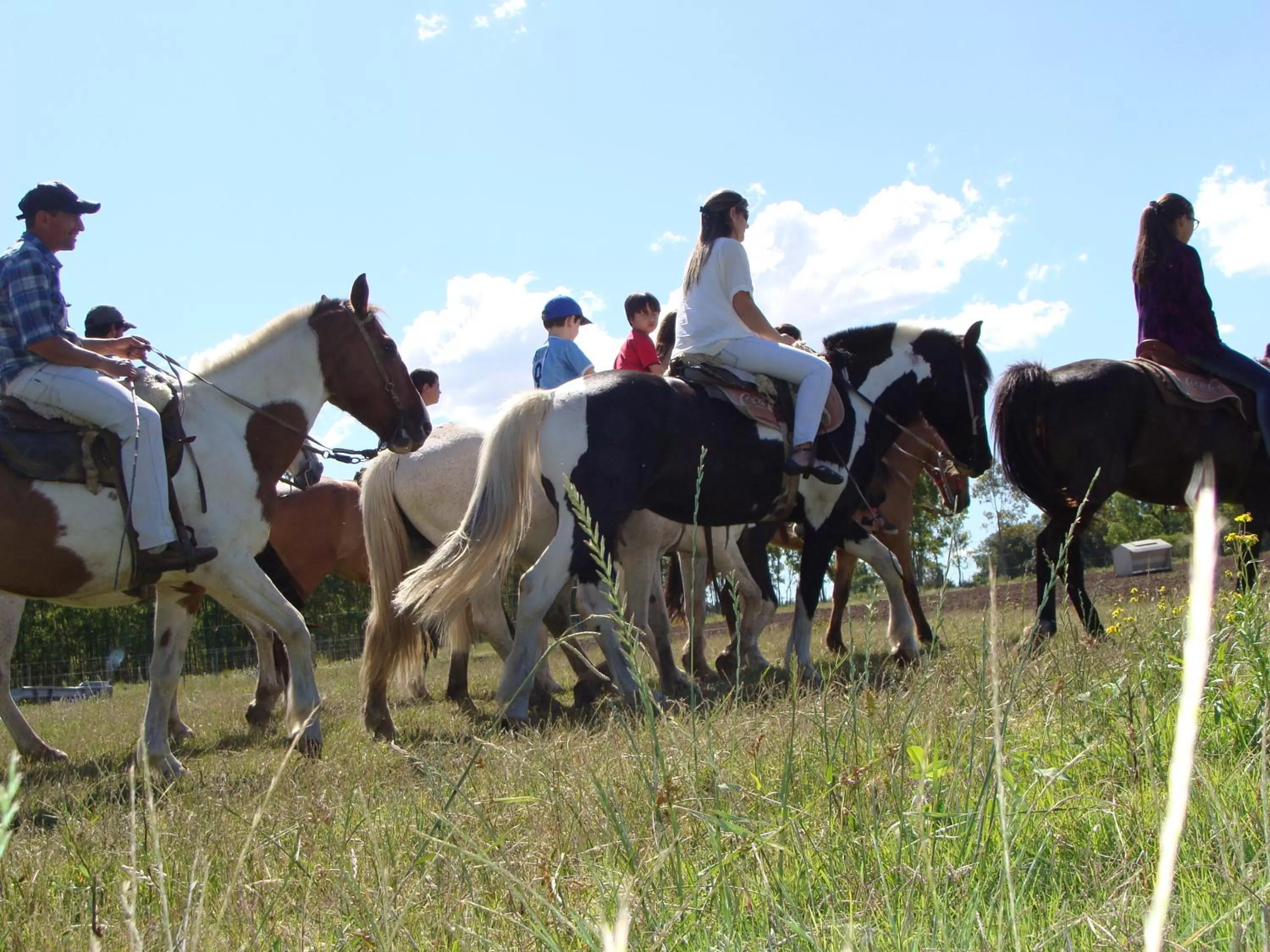 Entertainment in Estancia Renacimiento