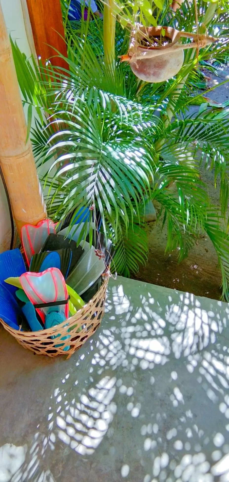 Garden in Café des Arts Gili Air