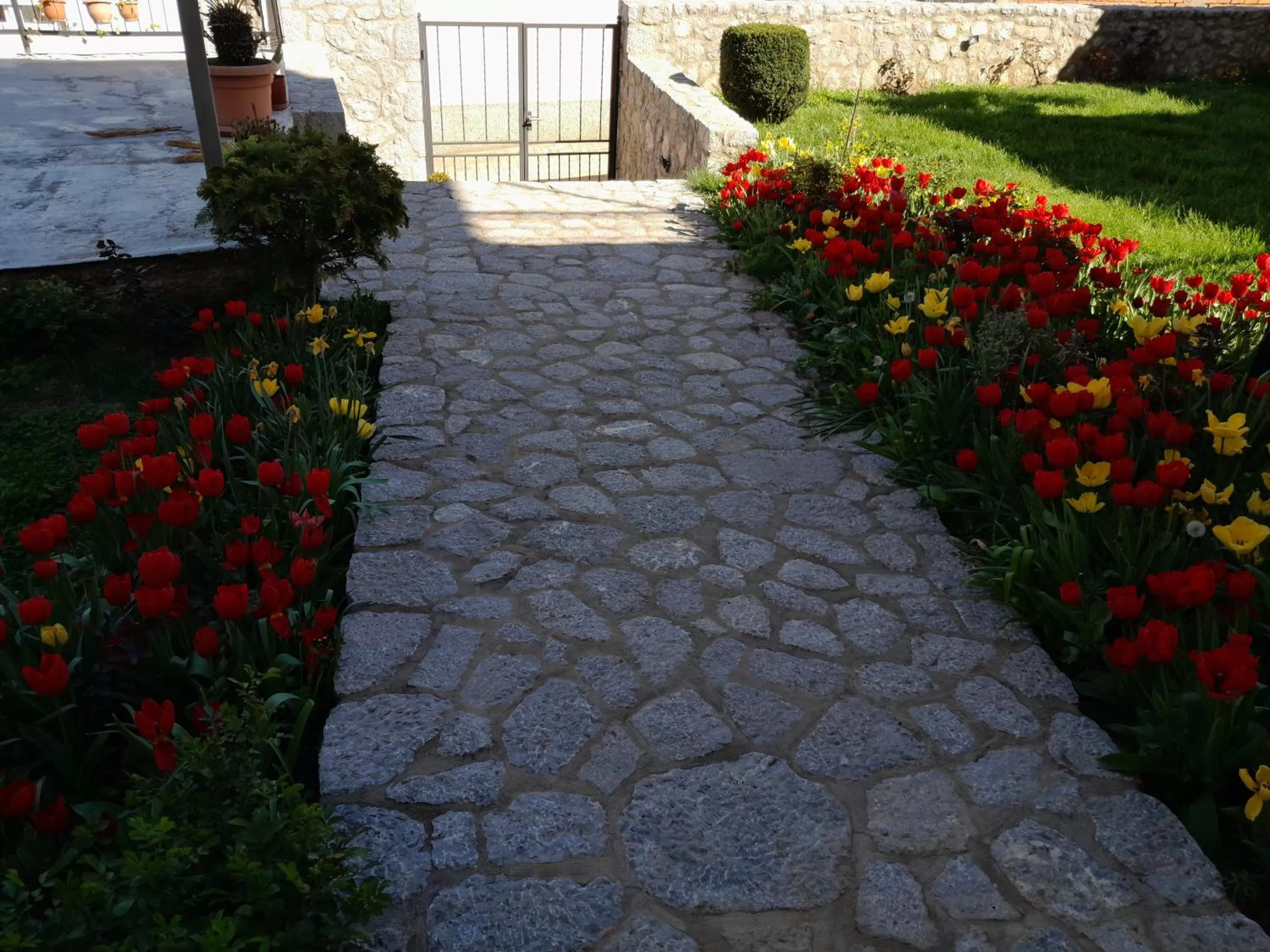 Garden in Villa Bella
