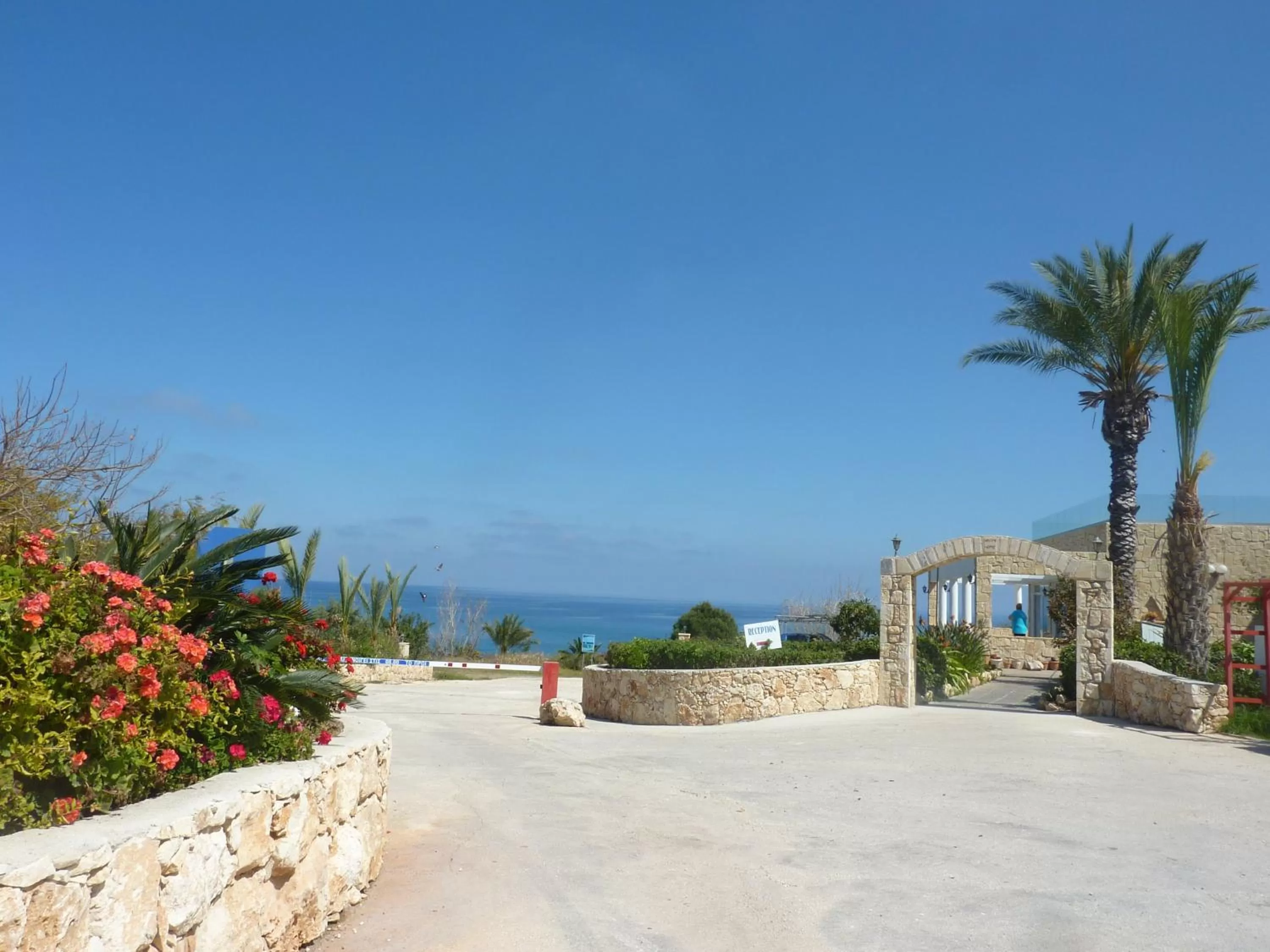 Other in Aphrodite Beach Hotel