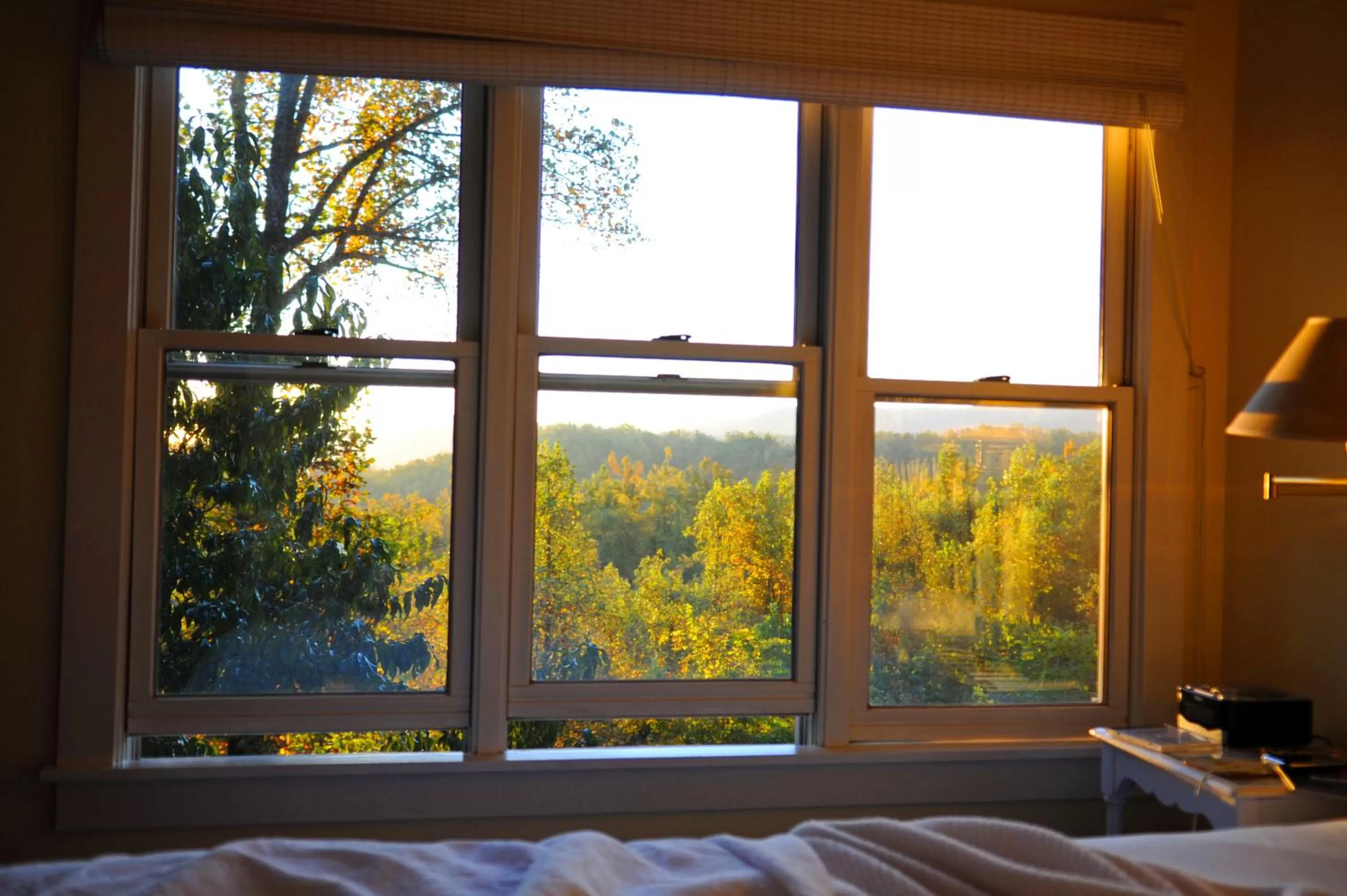 Garden View in Orchard Inn