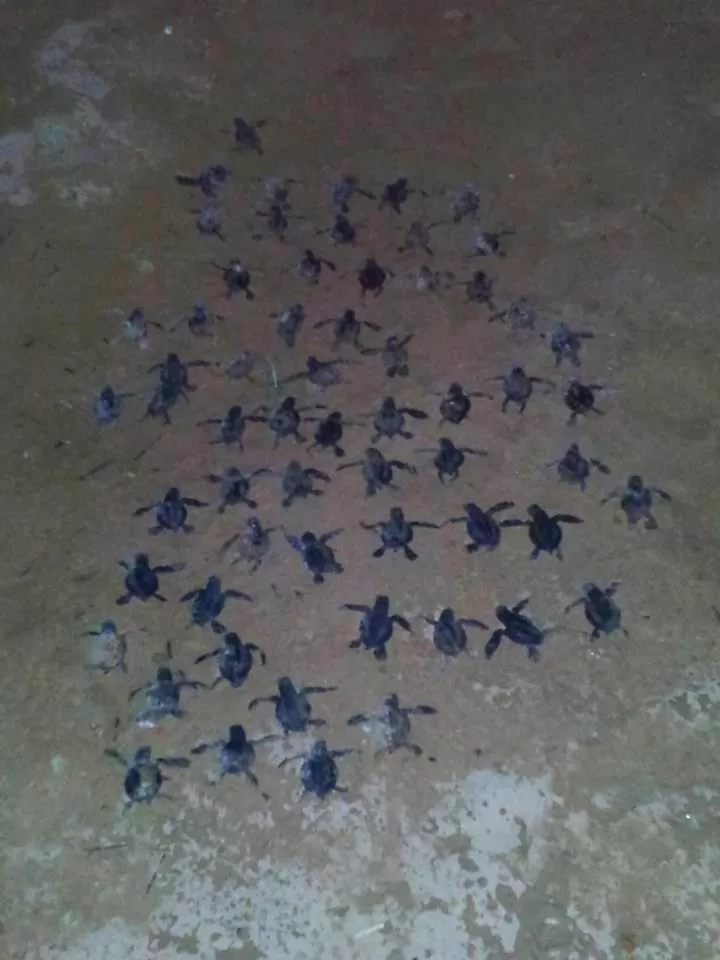 Weligama Bay Eco Villa