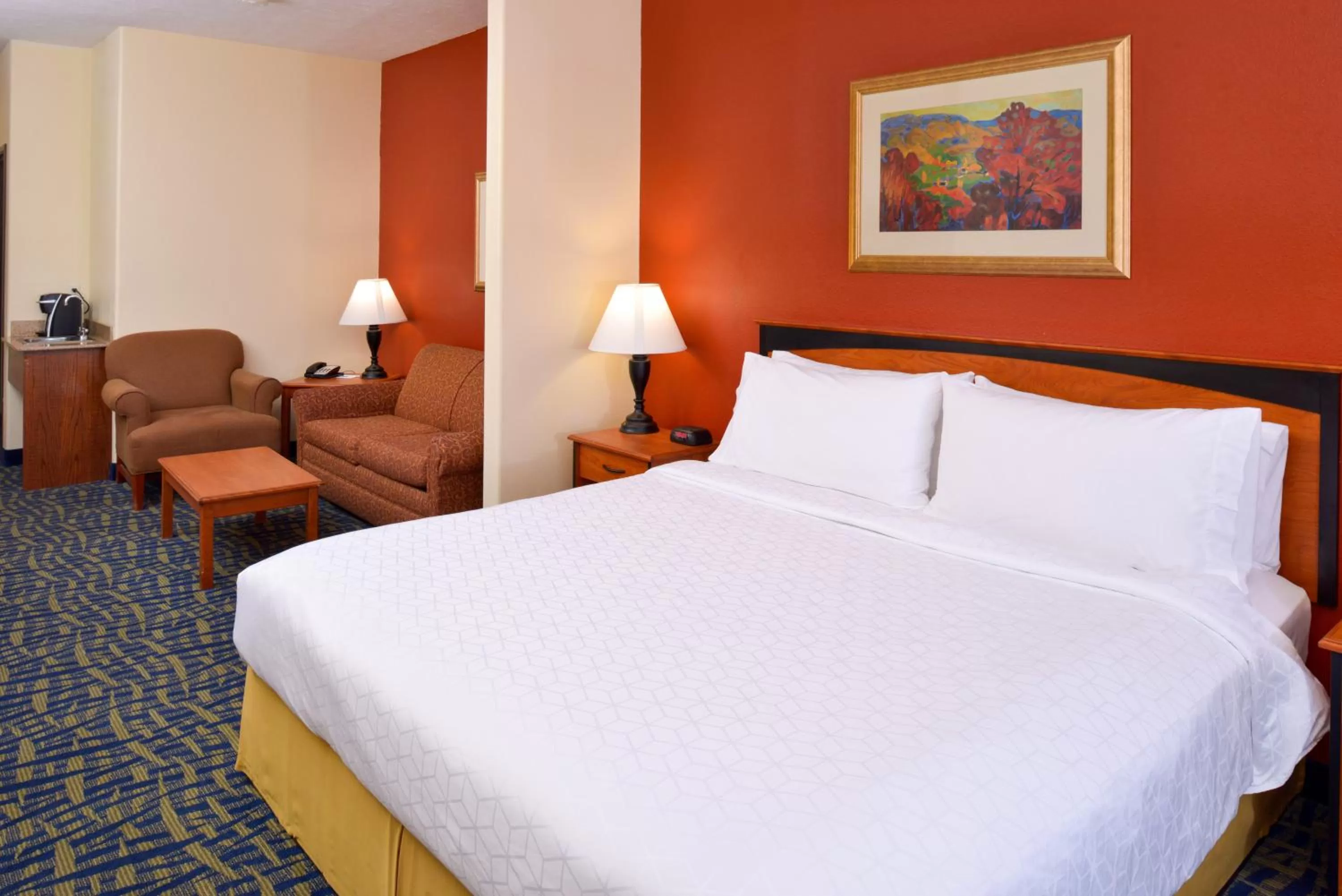 Photo of the whole room, Bed in Holiday Inn Express & Suites Alamosa by IHG