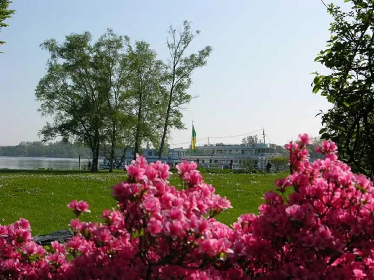Natural landscape in Hotel Rosmarin